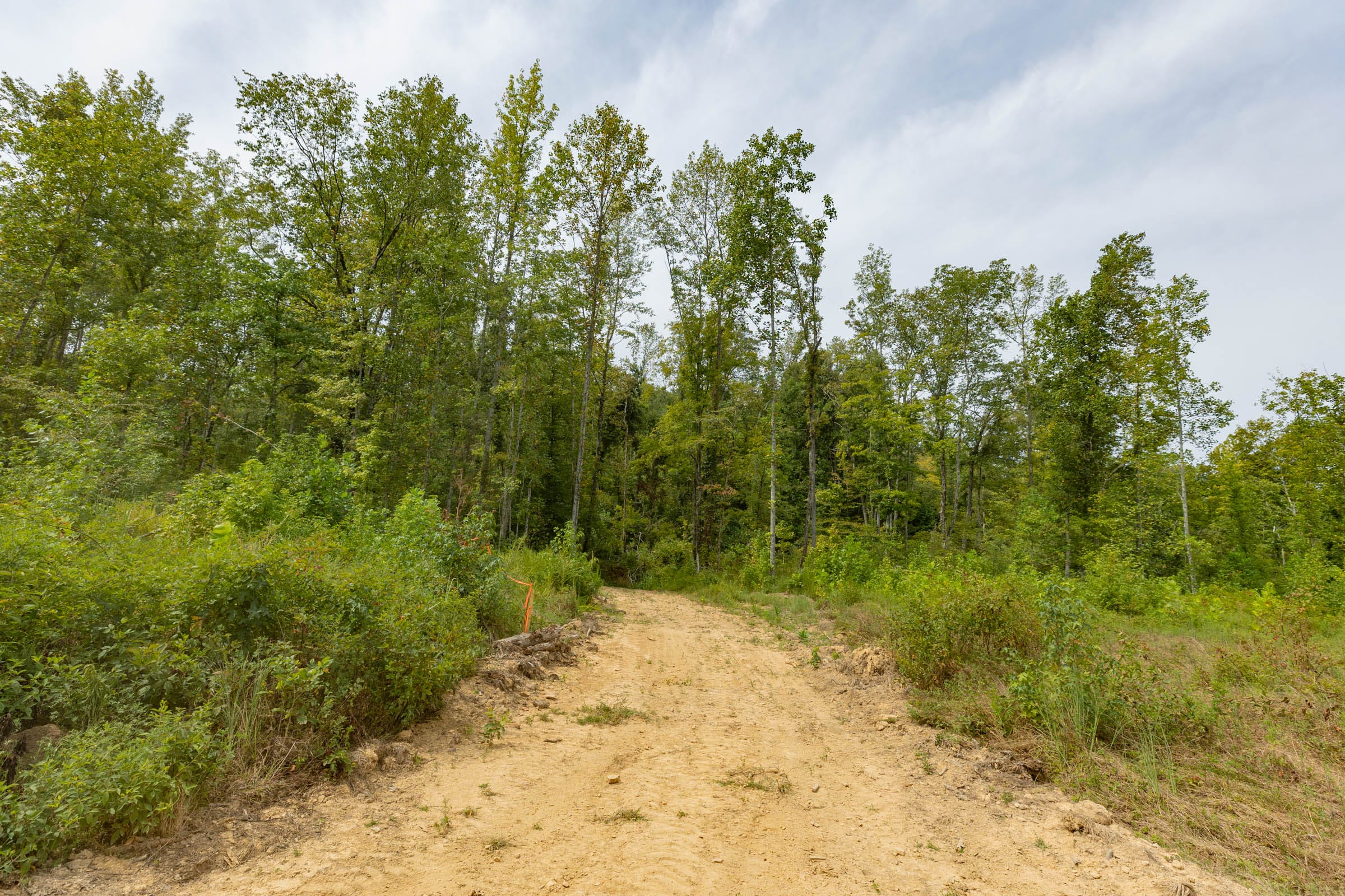 Big White Oak Tract 128 photo 1