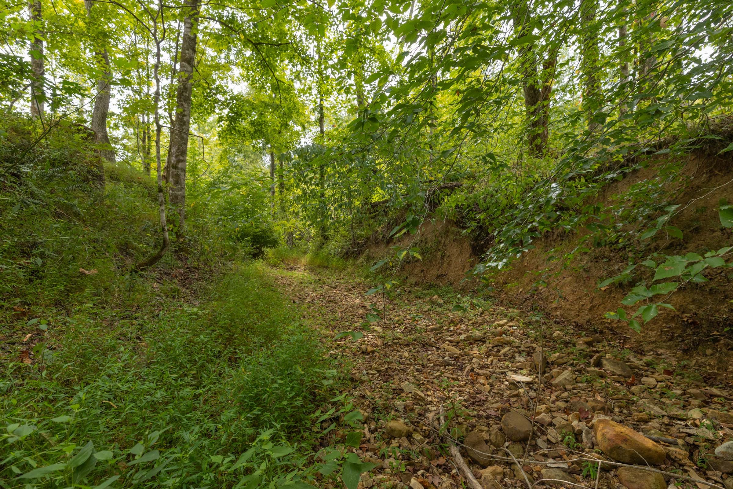 Big White Oak Tract 128 photo 4