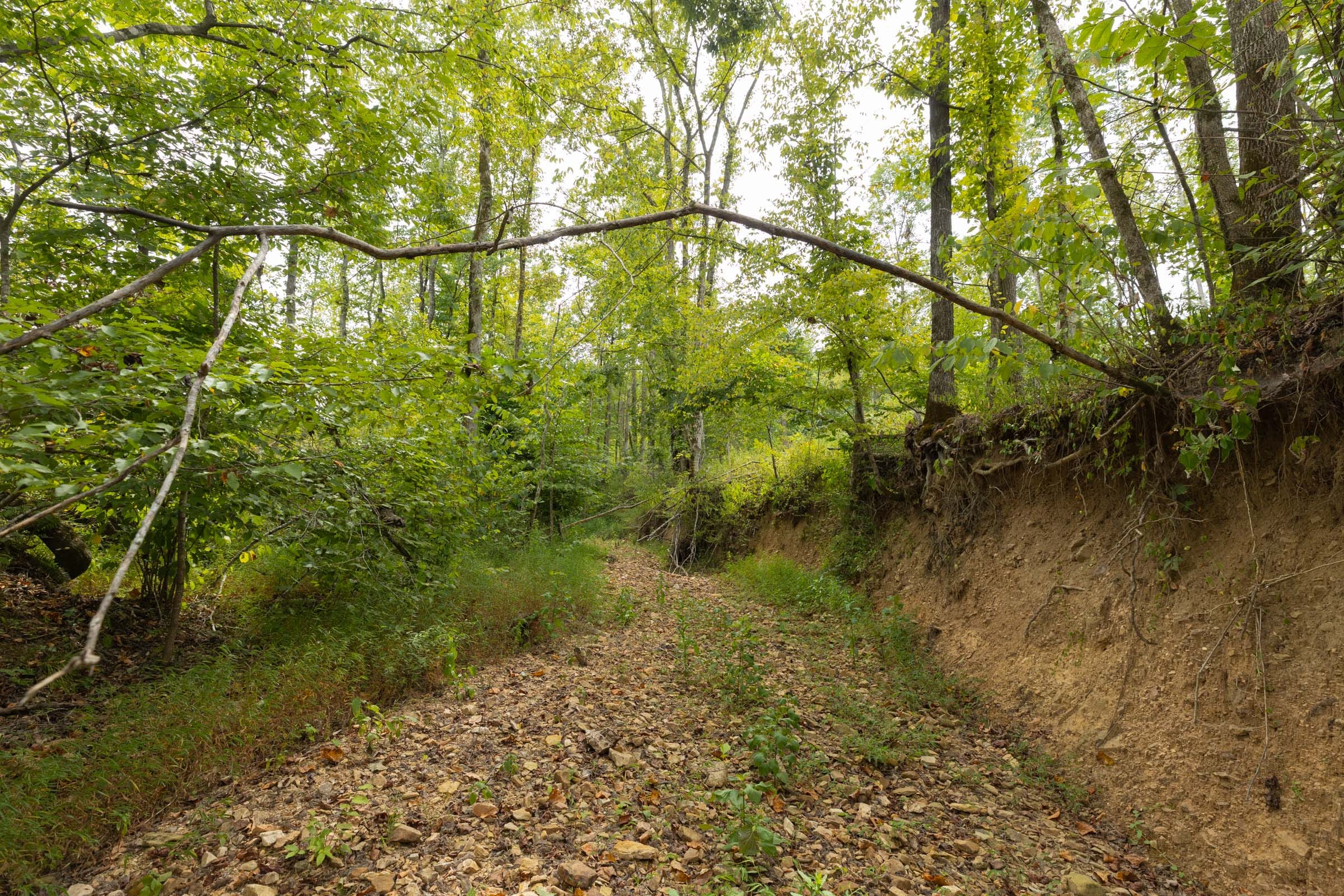 Big White Oak Tract 128 photo 2