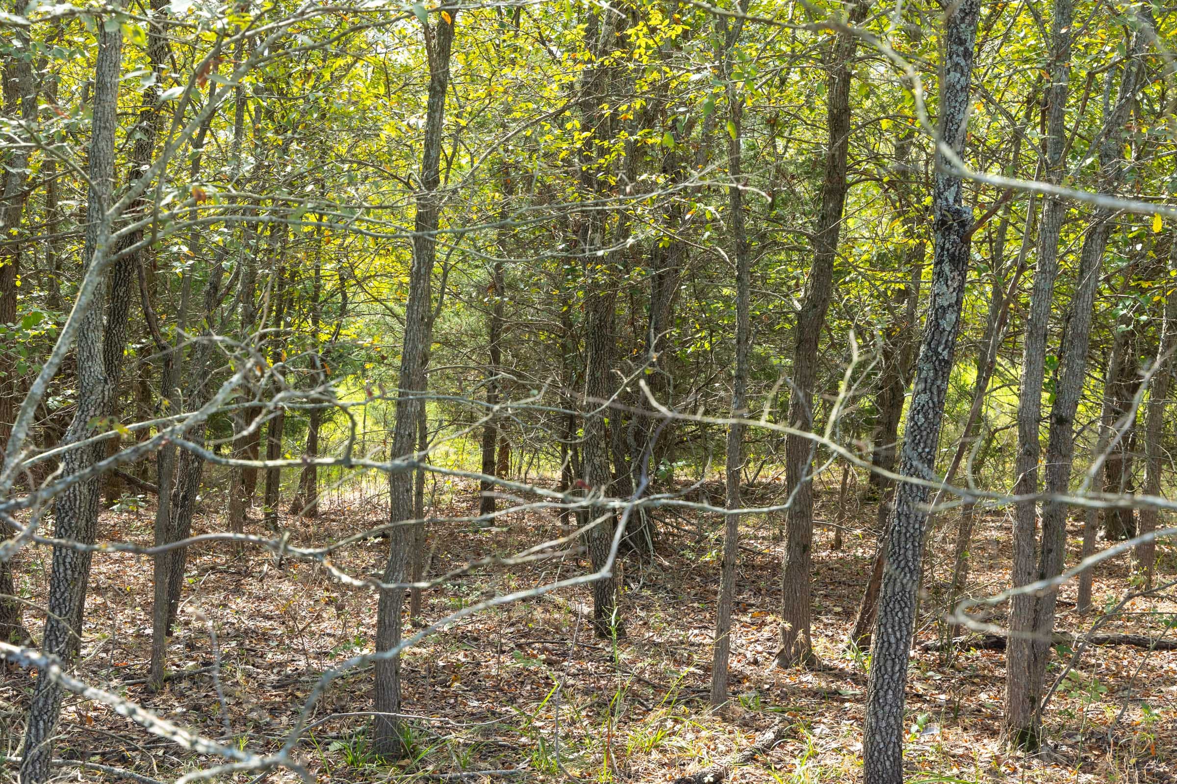 Reserves At Cattail Cove Phase II Tract 68 photo 5