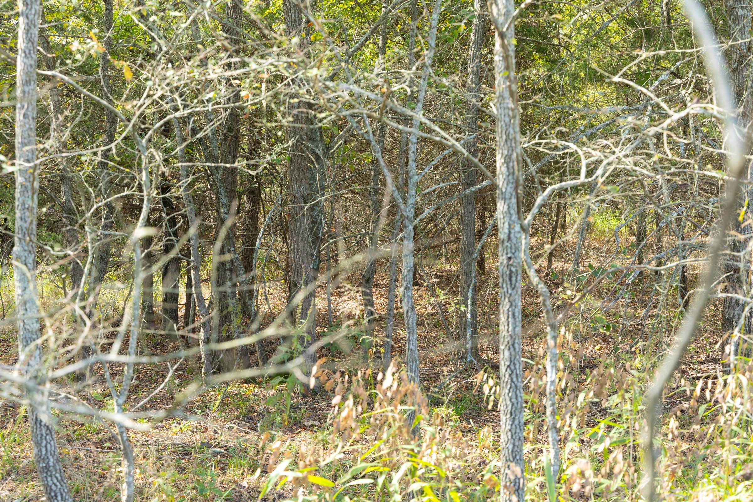 Reserves At Cattail Cove Phase II Tract 68 photo 4