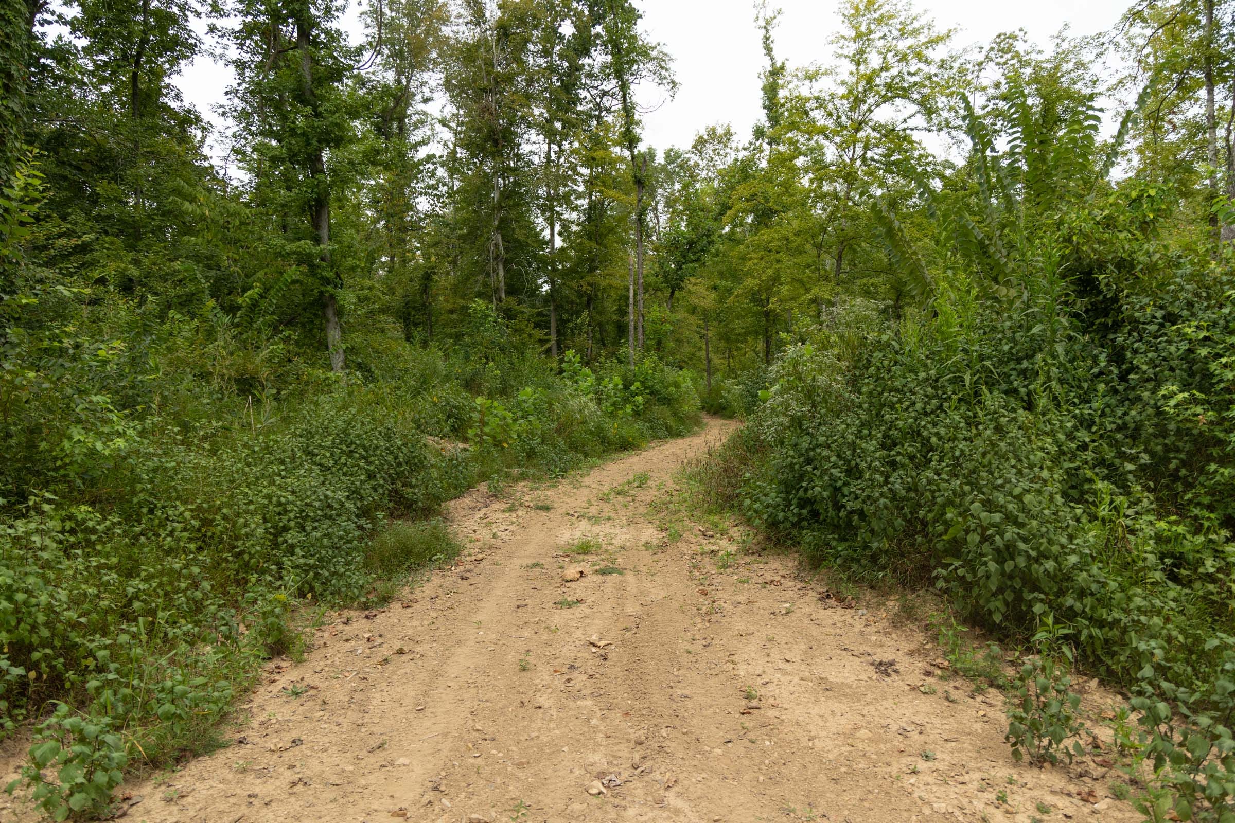 Big White Oak Tract 126 photo 11