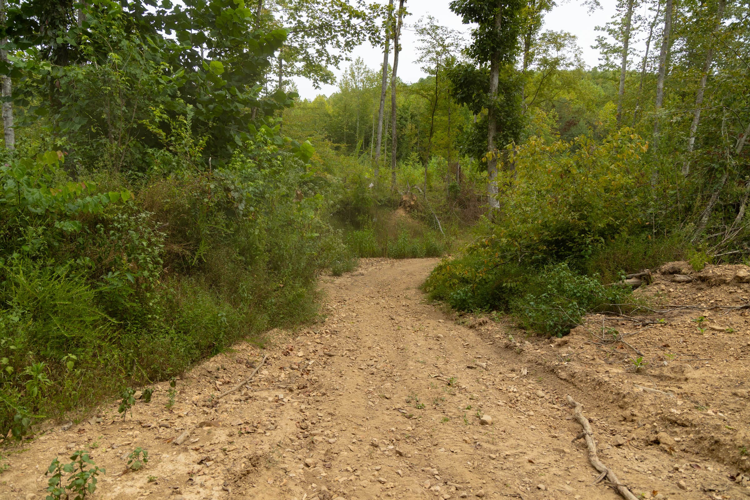 Big White Oak Tract 126 photo 10