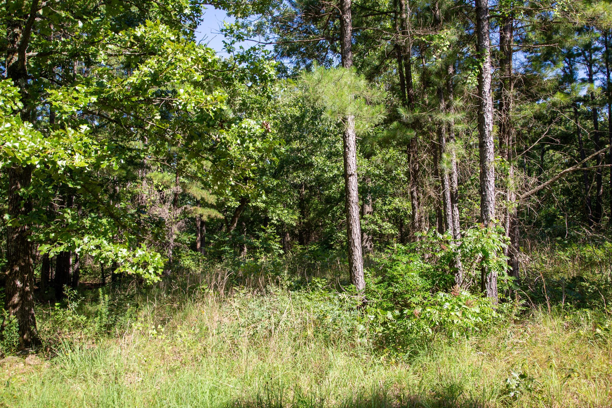 Tyler Stone Ranch Tract 11 photo 3