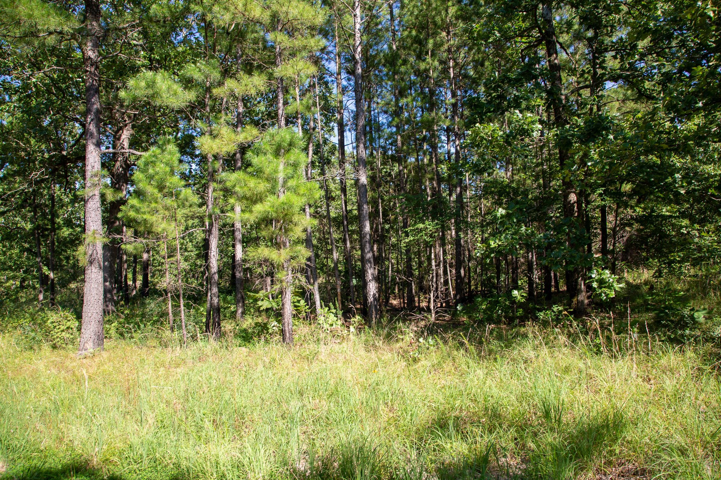 Tyler Stone Ranch Tract 11 photo 1