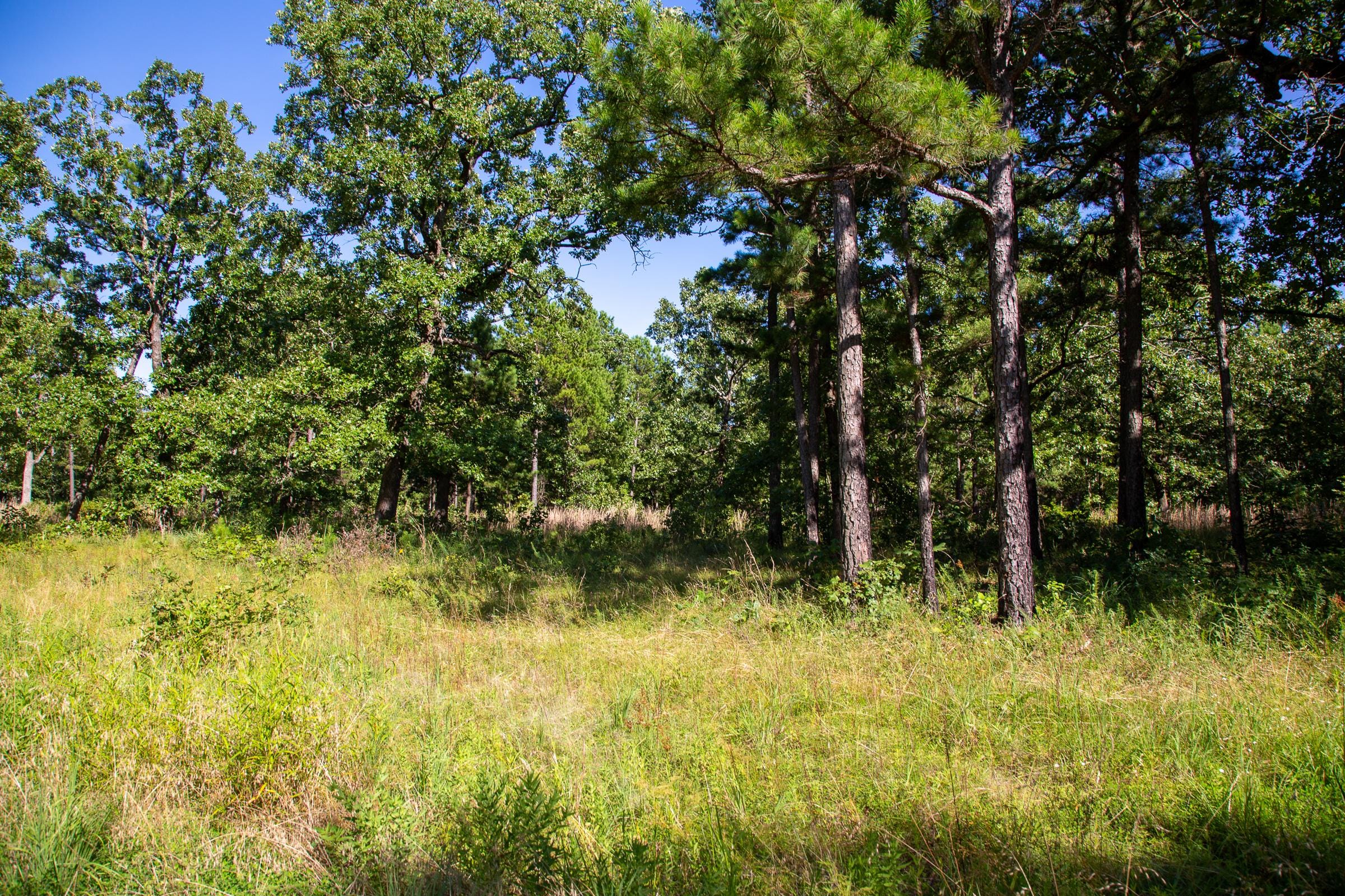 Tyler Stone Ranch Tract 11 photo 4