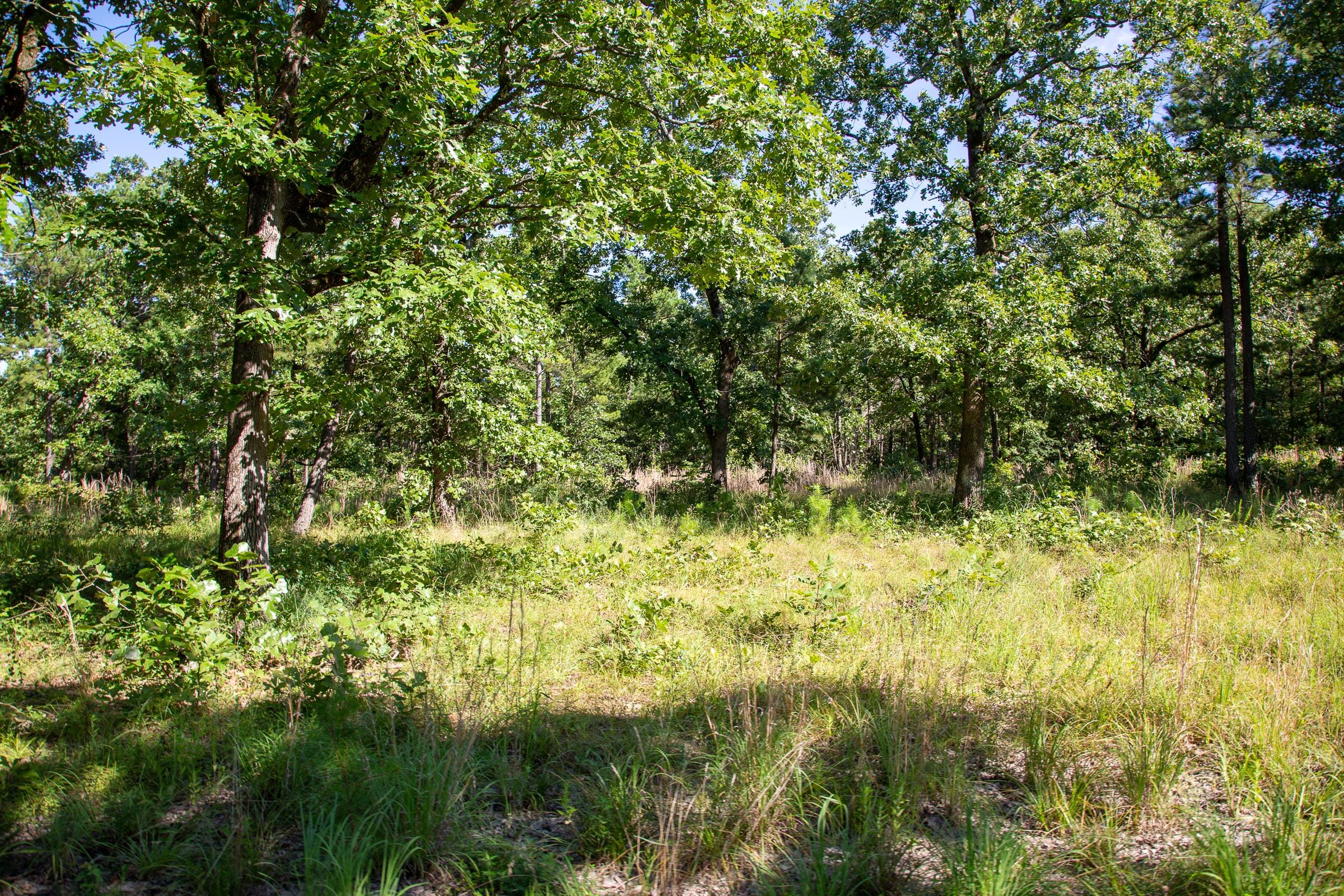 Tyler Stone Ranch Tract 11 photo 5