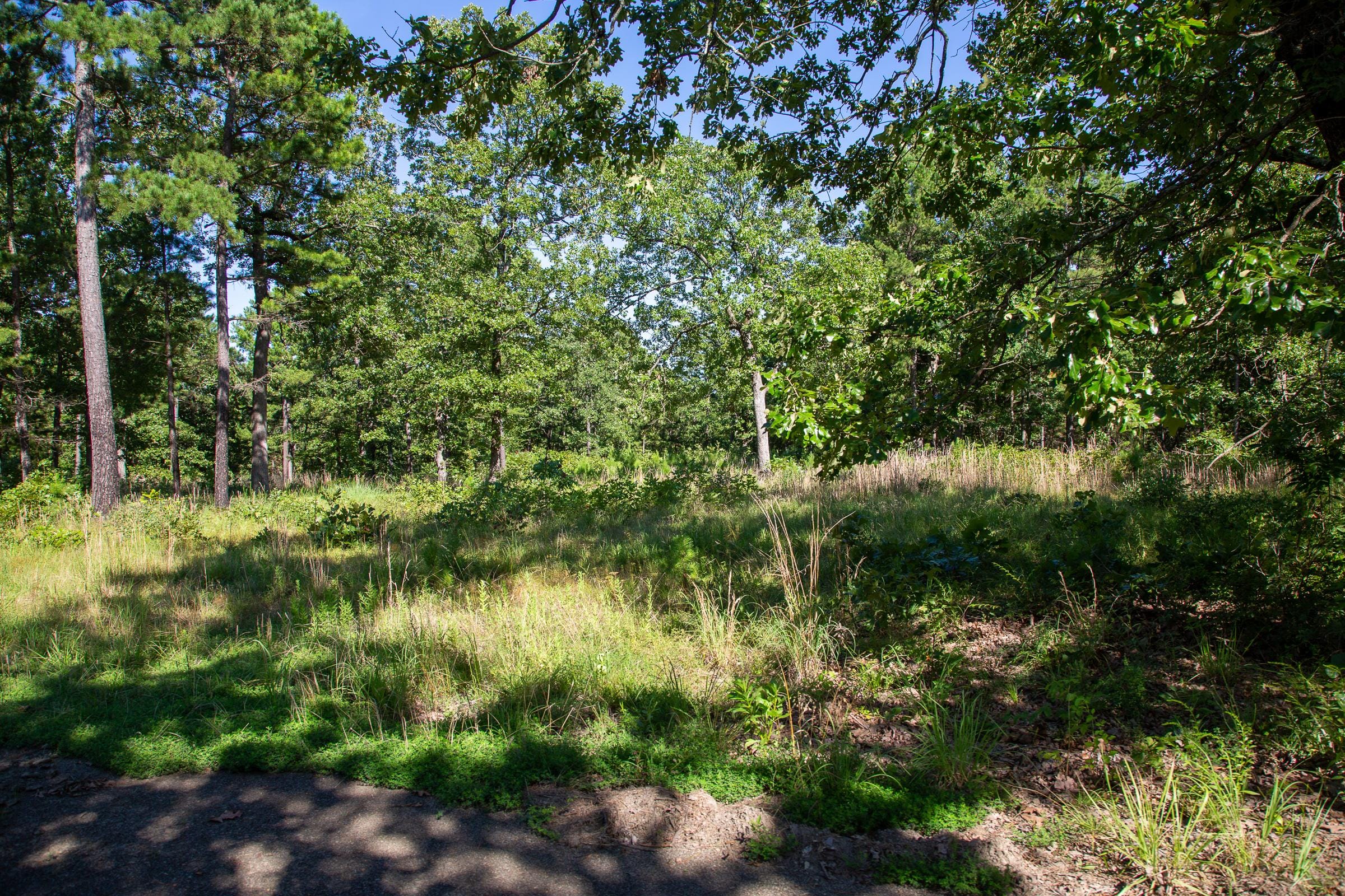 Tyler Stone Ranch Tract 11 photo 7