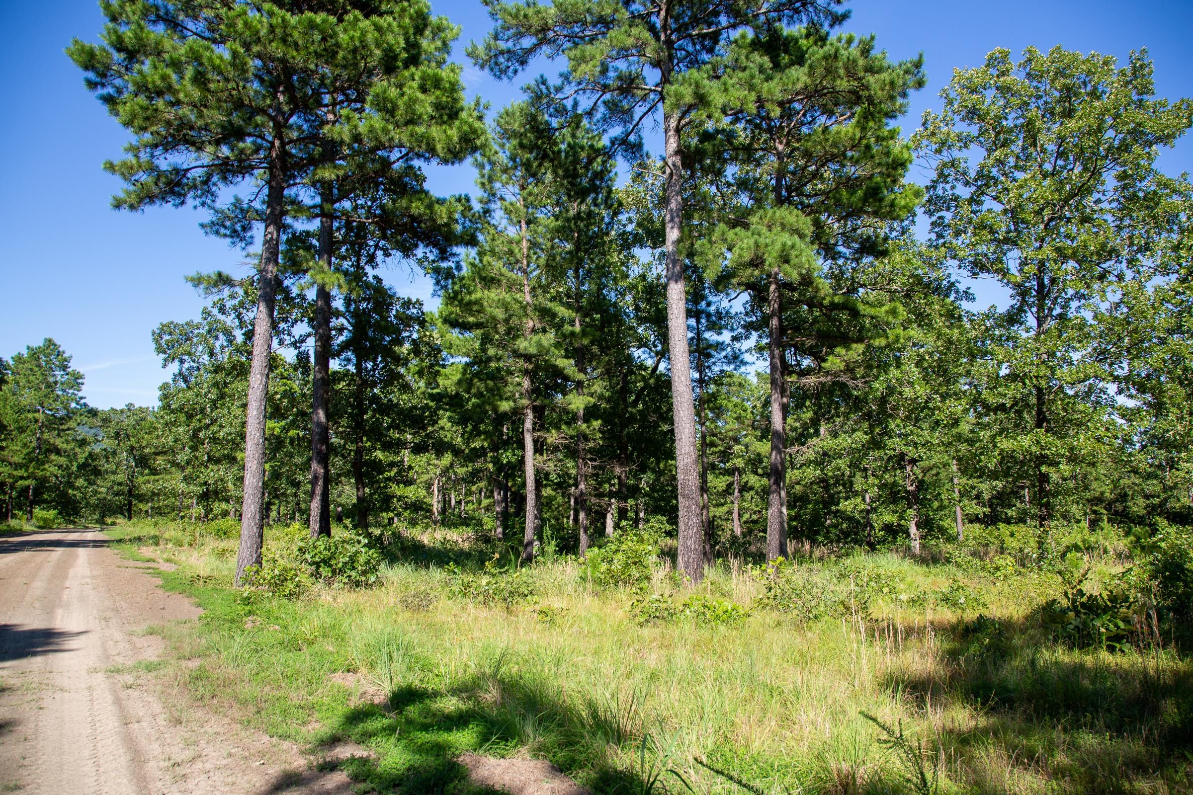 Tyler Stone Ranch Tract 11 photo 8