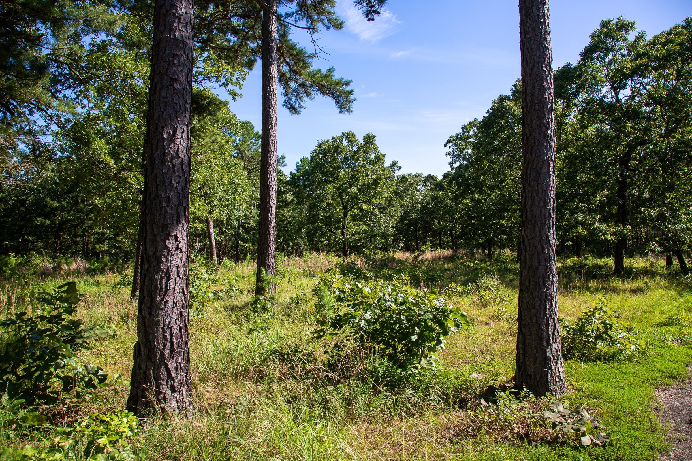 Tyler Stone Ranch Tract 11 photo 9