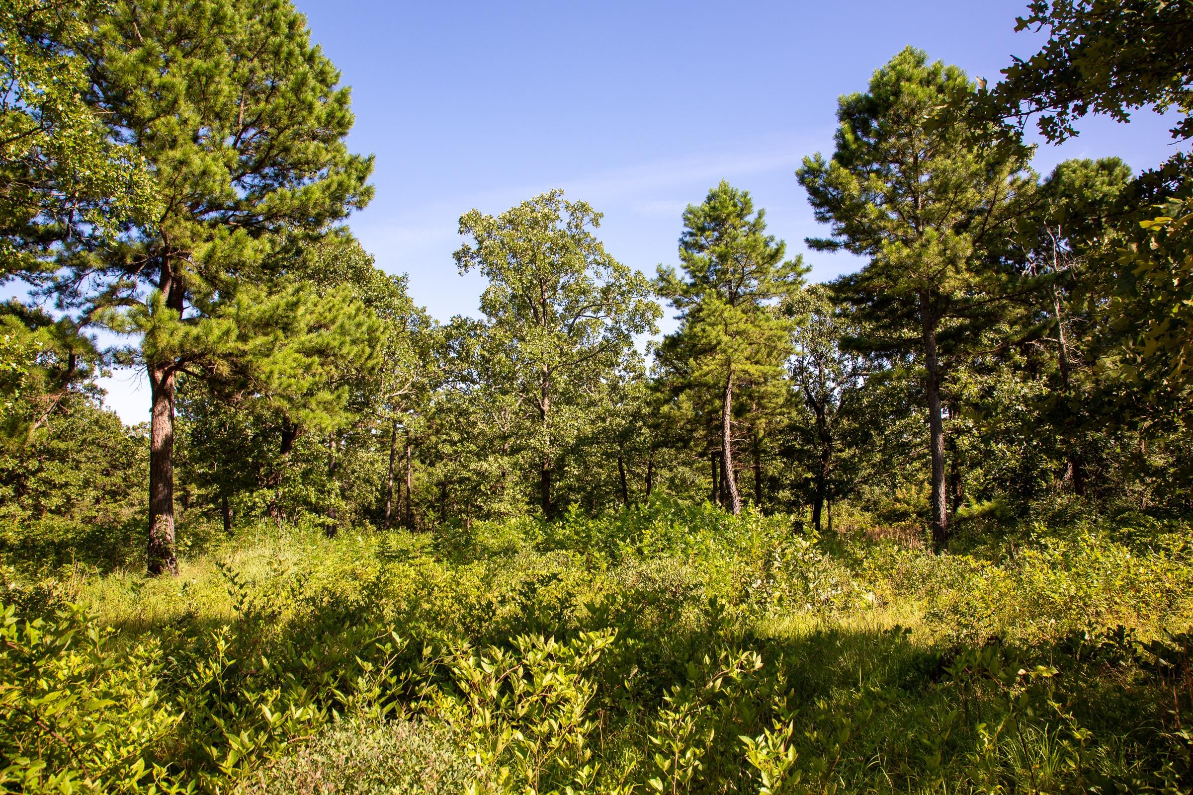 Tyler Stone Ranch Tract 11 photo 12