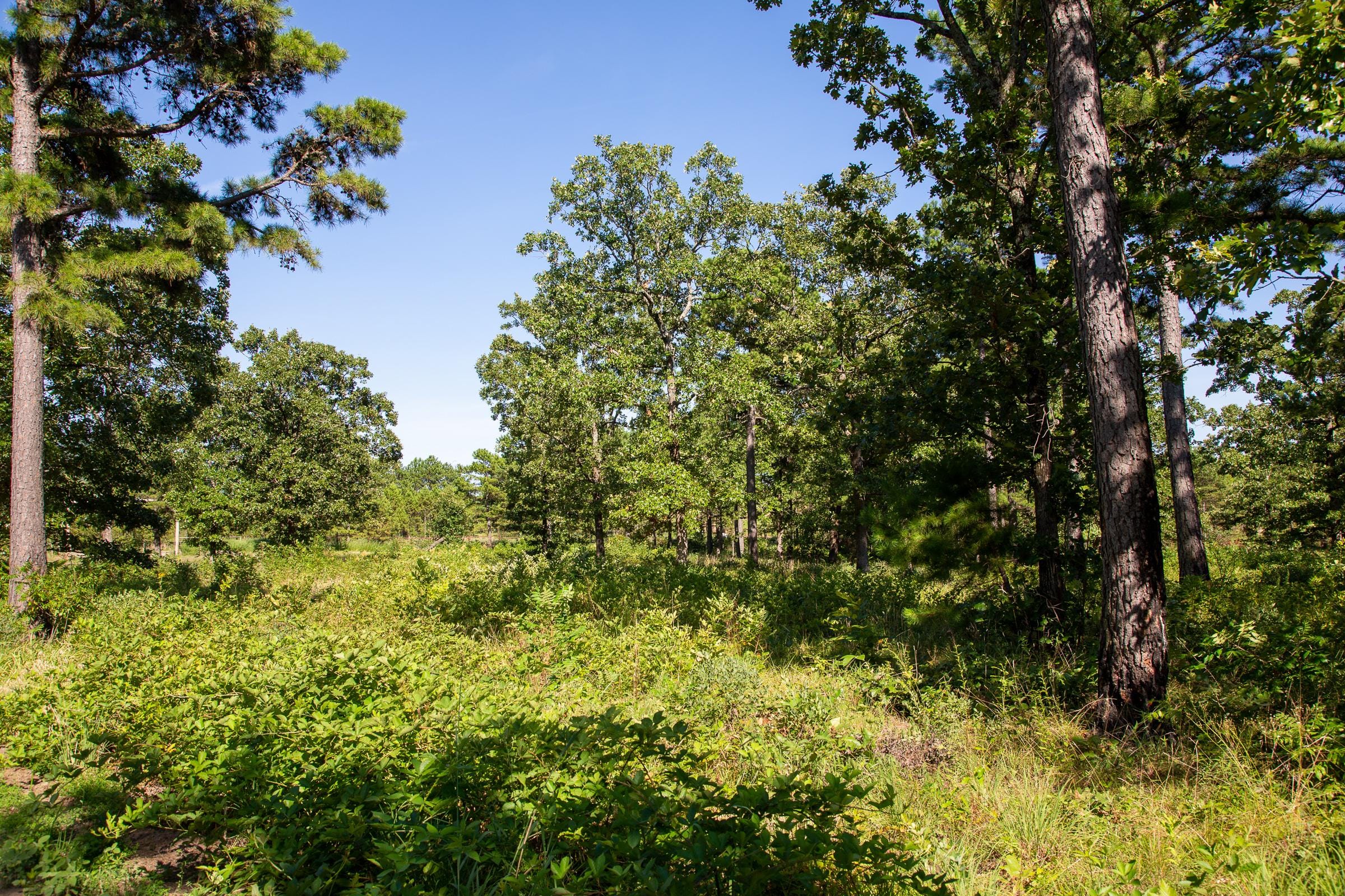 Tyler Stone Ranch Tract 11 photo 13