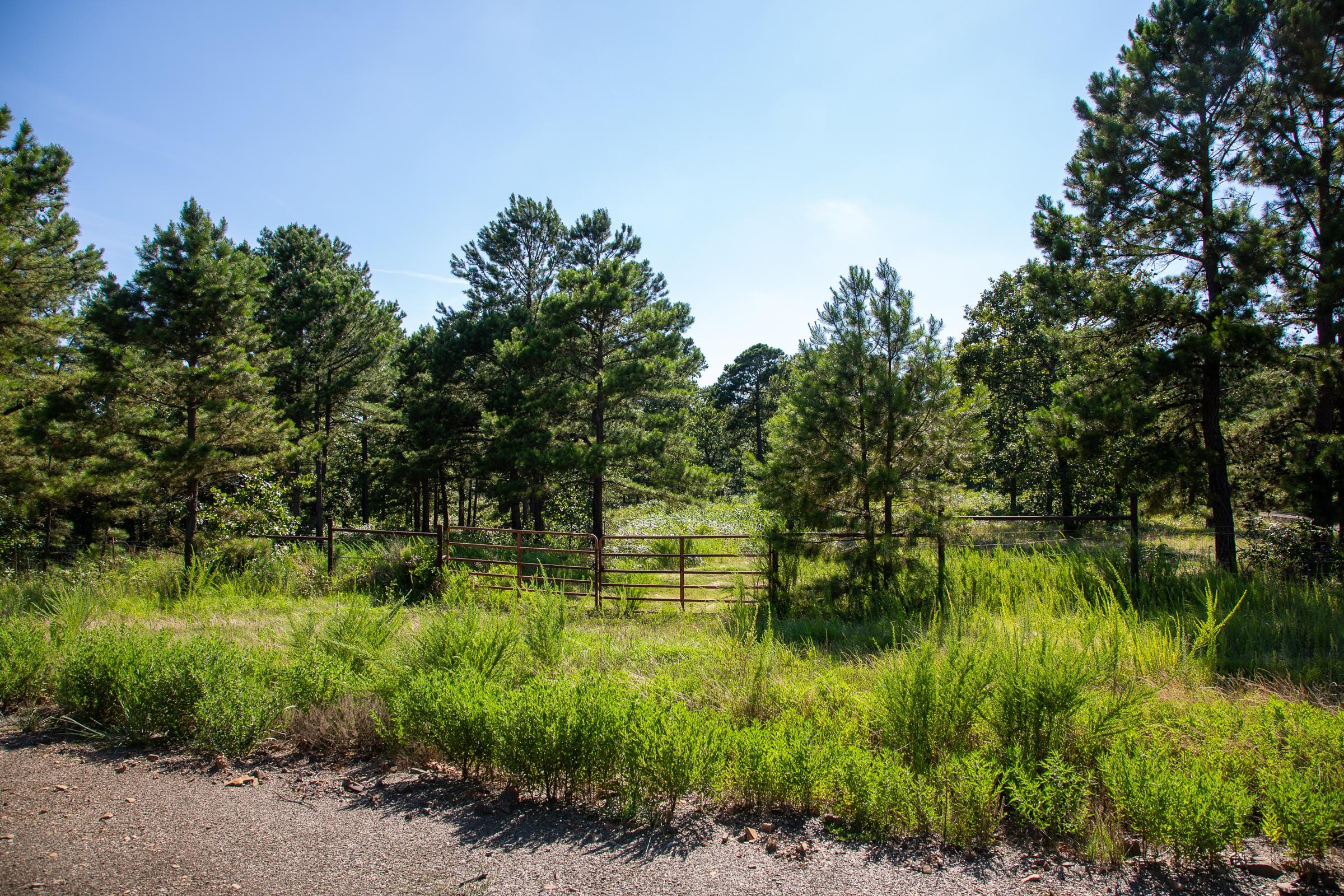 Tyler Stone Ranch Tract 11 photo 15