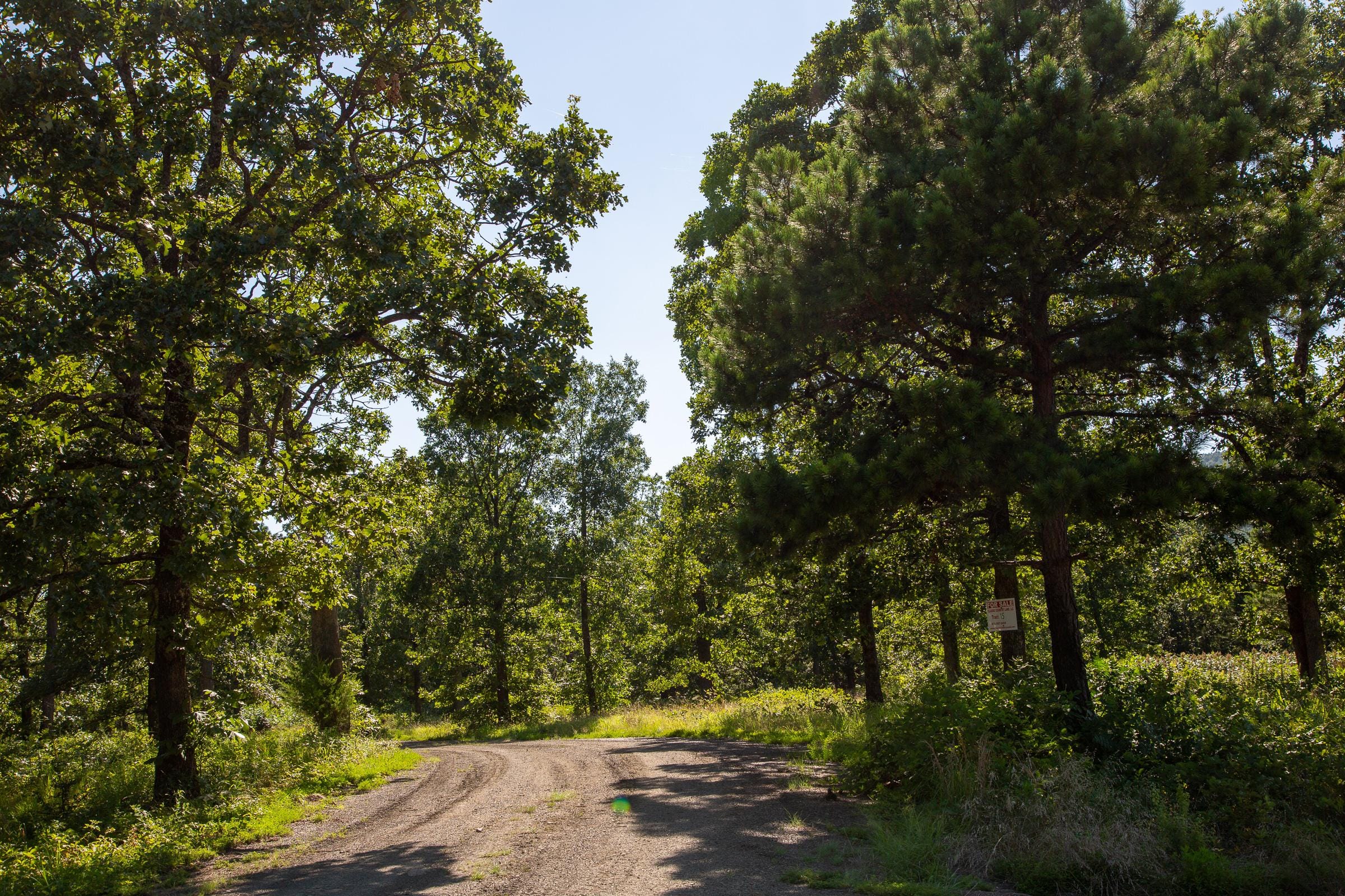 Tyler Stone Ranch Tract 11 photo 10