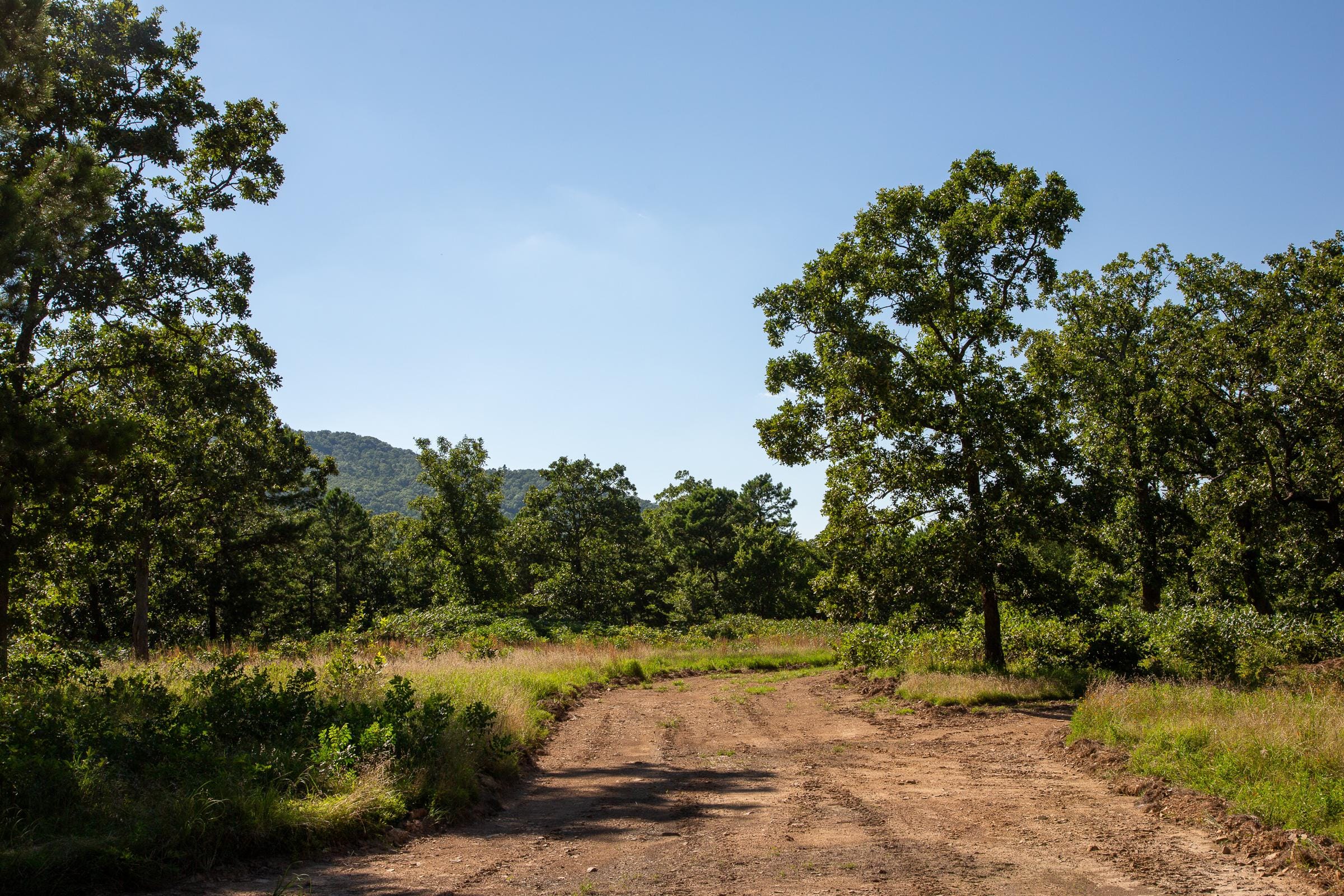 Tyler Stone Ranch Tract 11 photo 16
