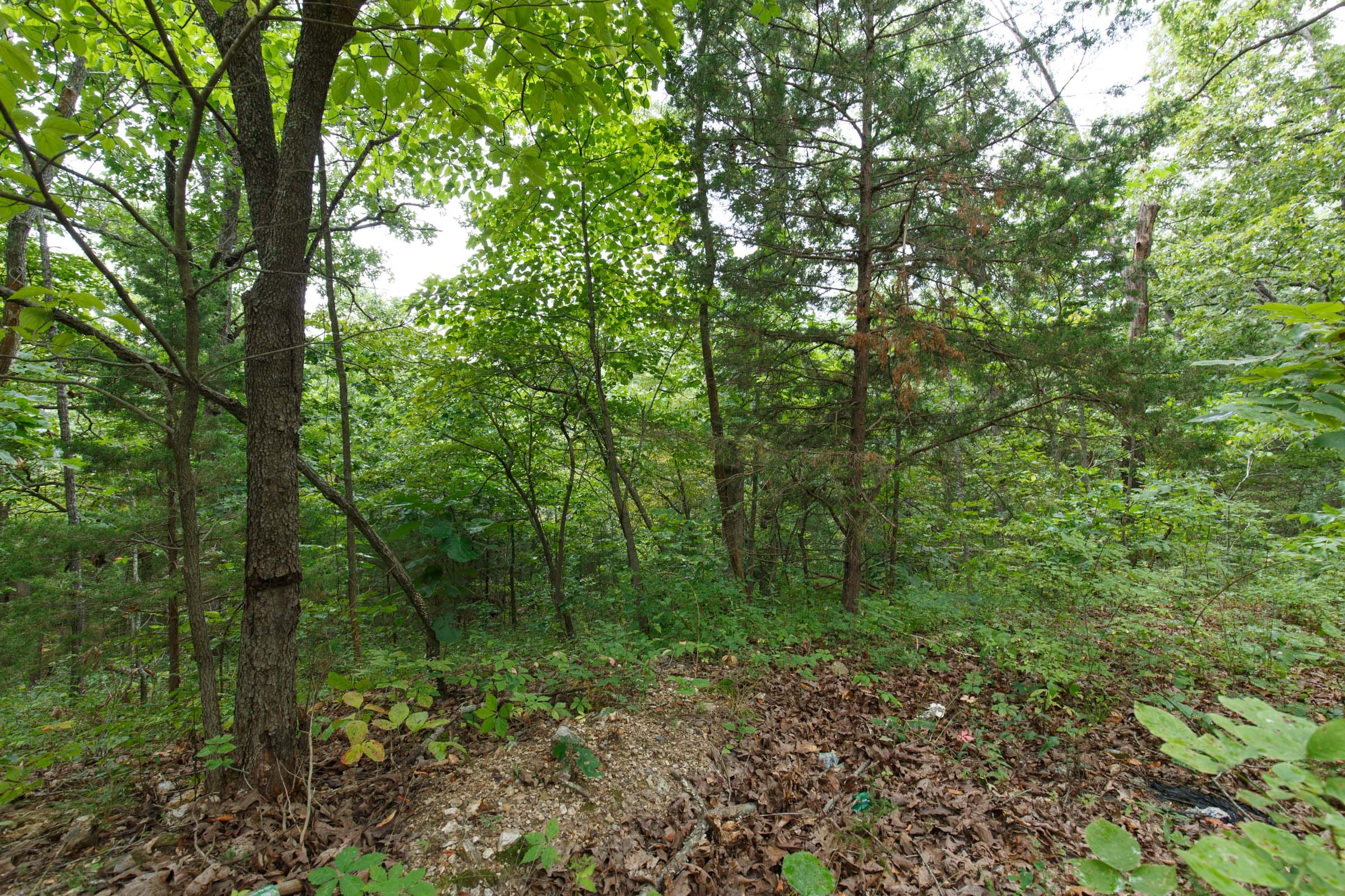 Spring Lake Plat 2 Tract 35 photo 4