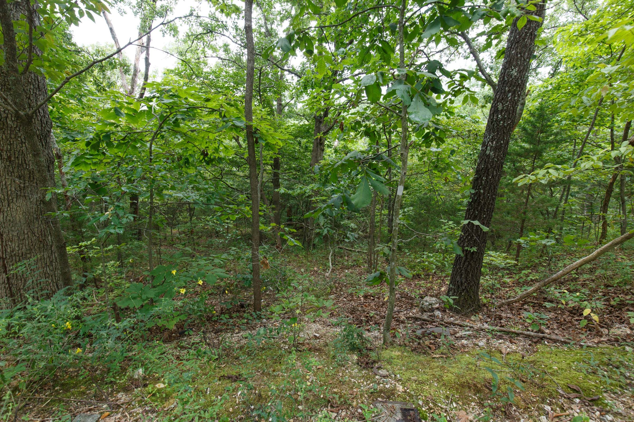 Spring Lake Plat 2 Tract 35 photo 3