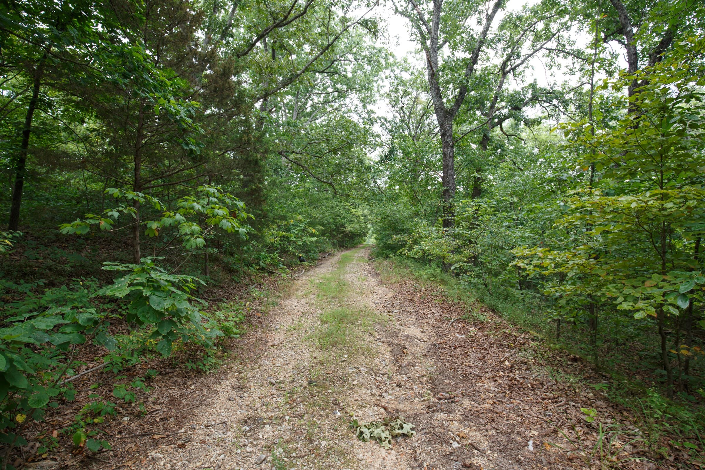Spring Lake Plat 2 Tract 35 photo 1