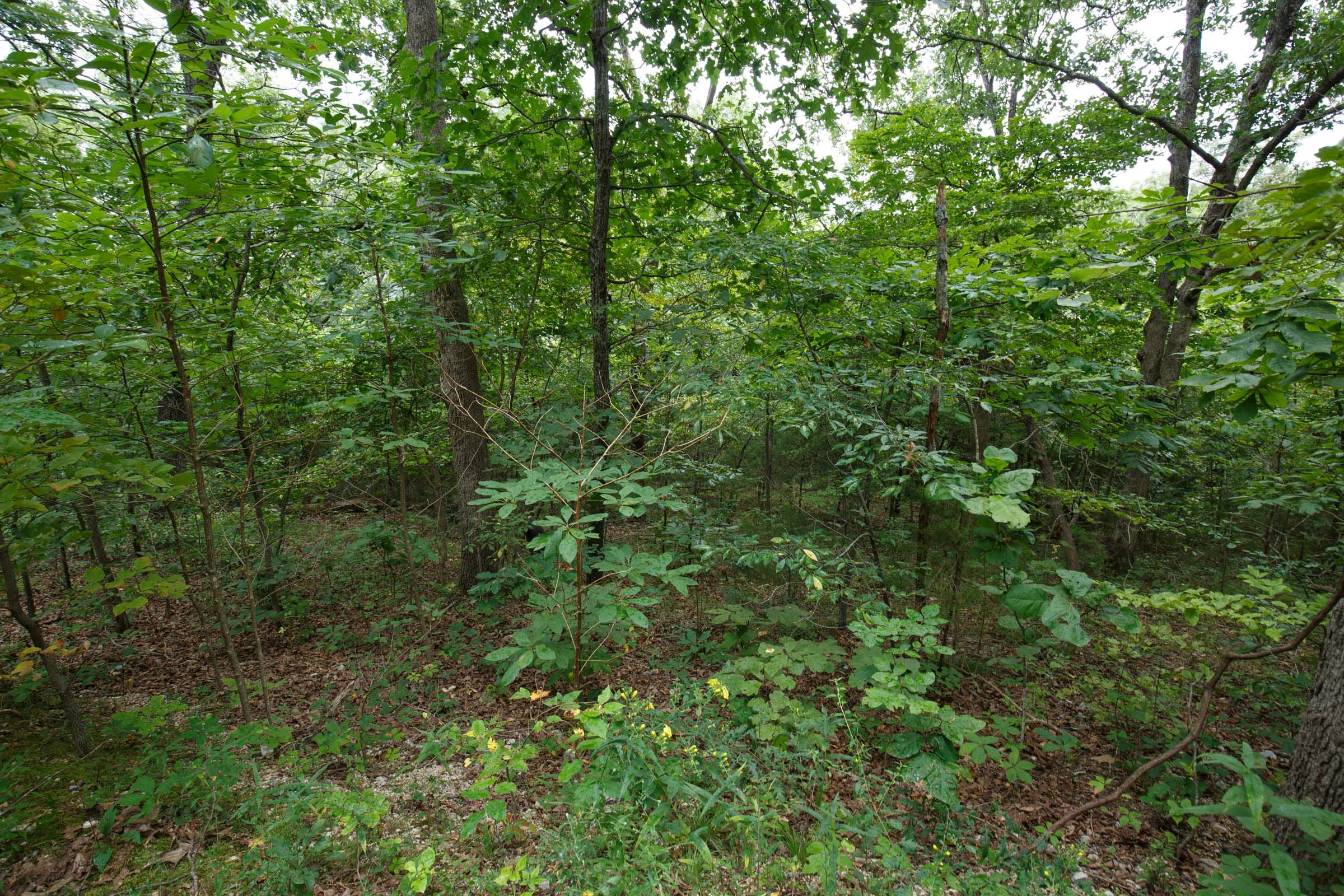 Spring Lake Plat 2 Tract 35 photo 2