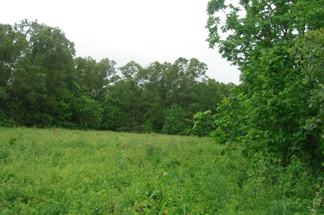 Whispering Oaks Tract 10 photo 1