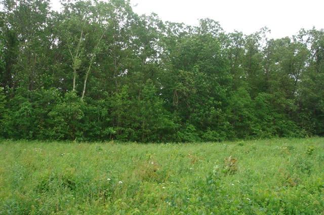 Whispering Oaks Tract 10 photo 2