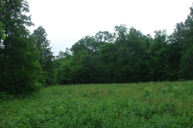 Whispering Oaks Tract 10 photo 3
