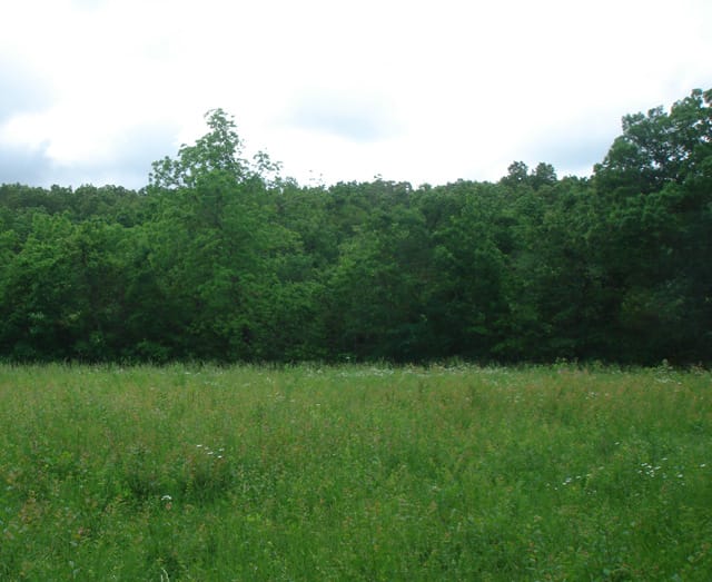 Whispering Oaks Tract 10 photo 5