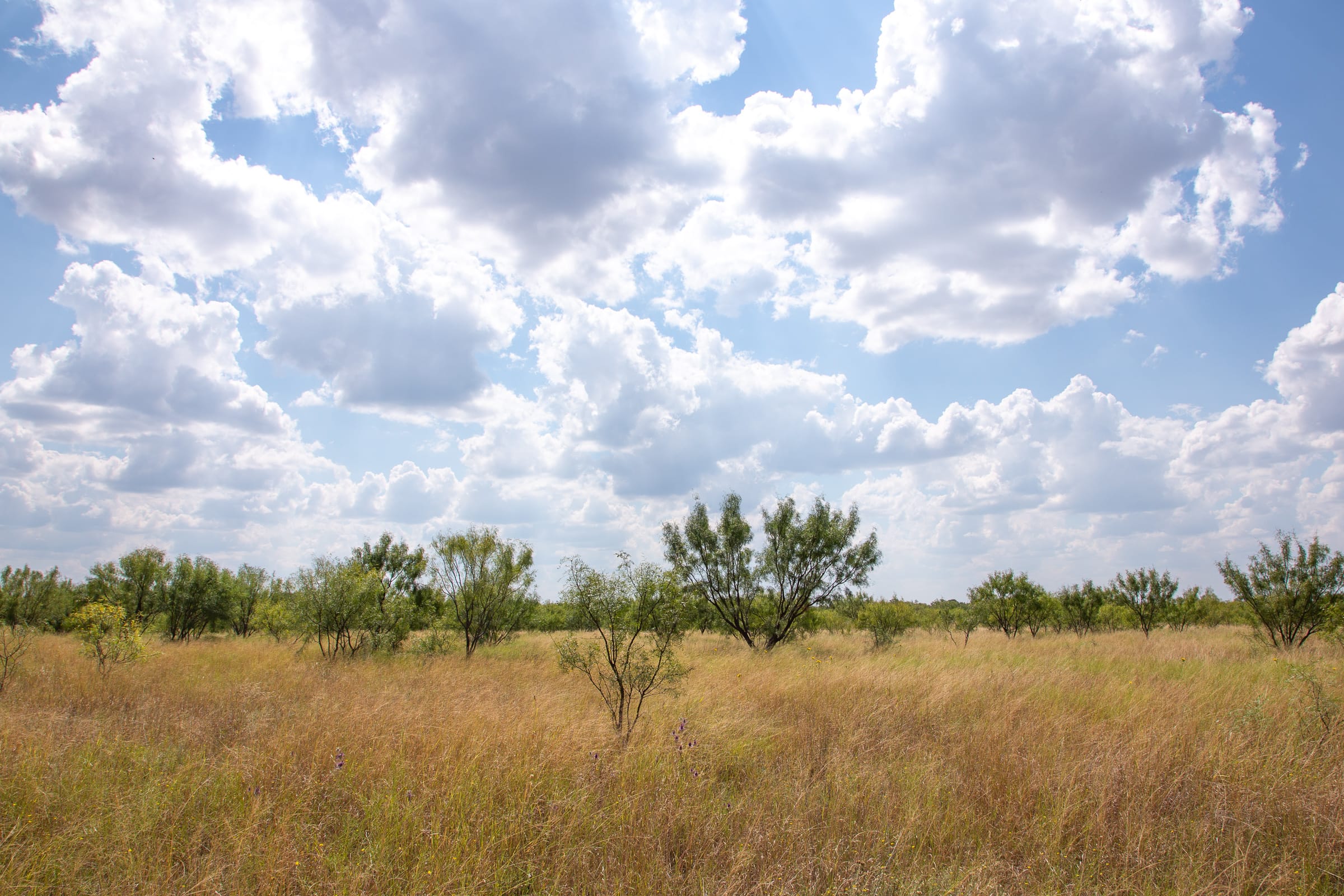 Hunter’s Ranch Tract 20 photo 3