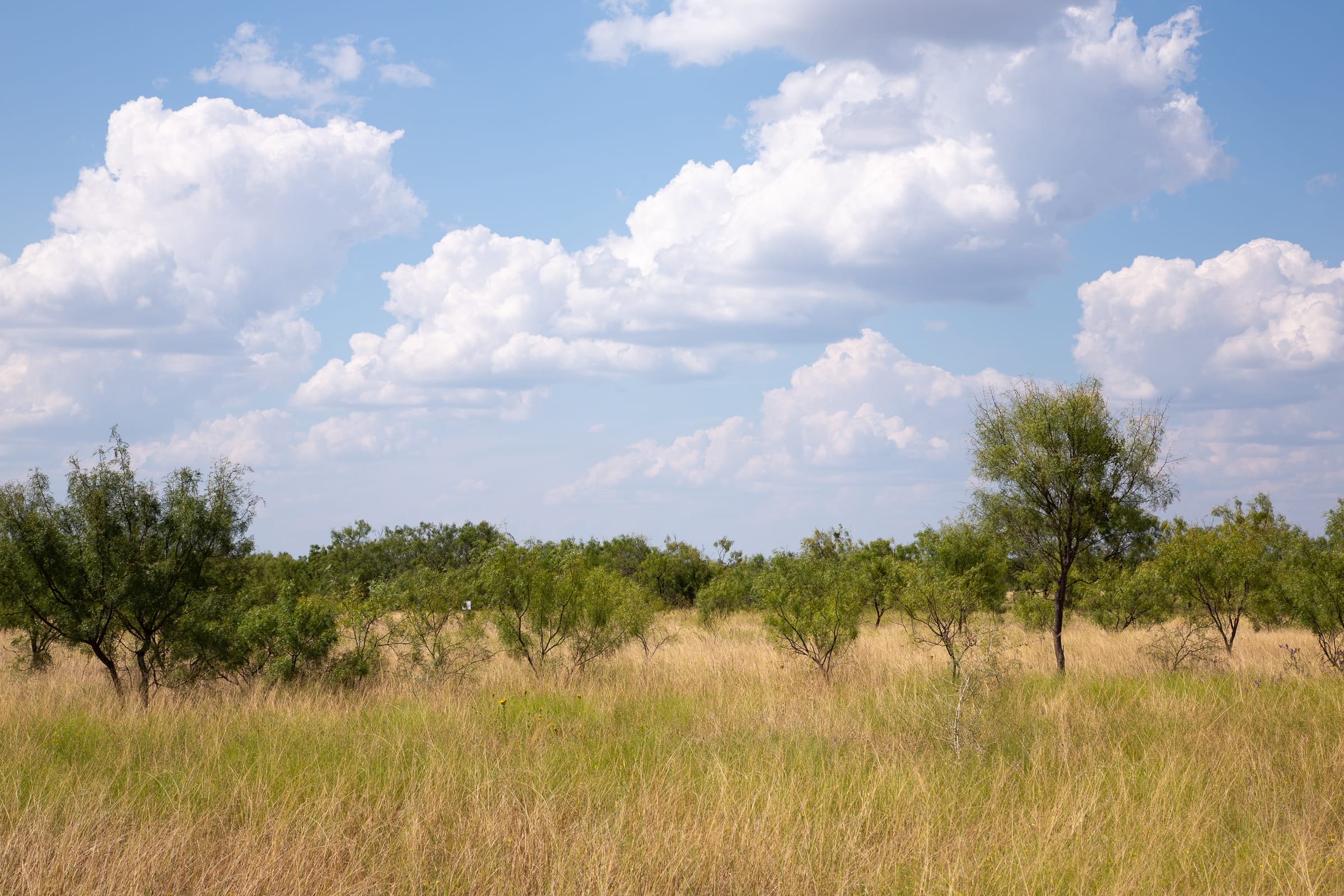 Hunter’s Ranch Tract 20 photo 5