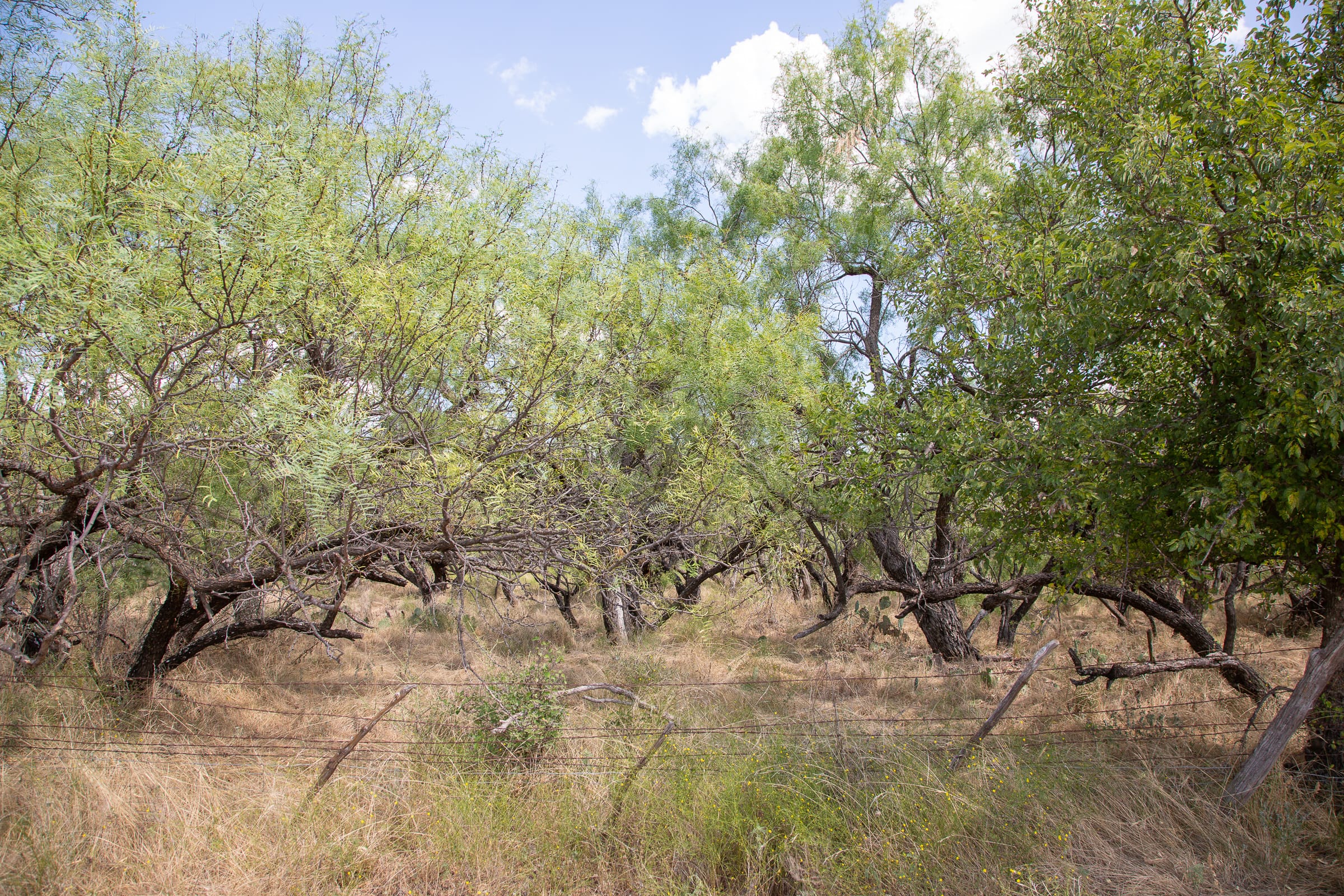 Hunter’s Ranch Tract 20 photo 6