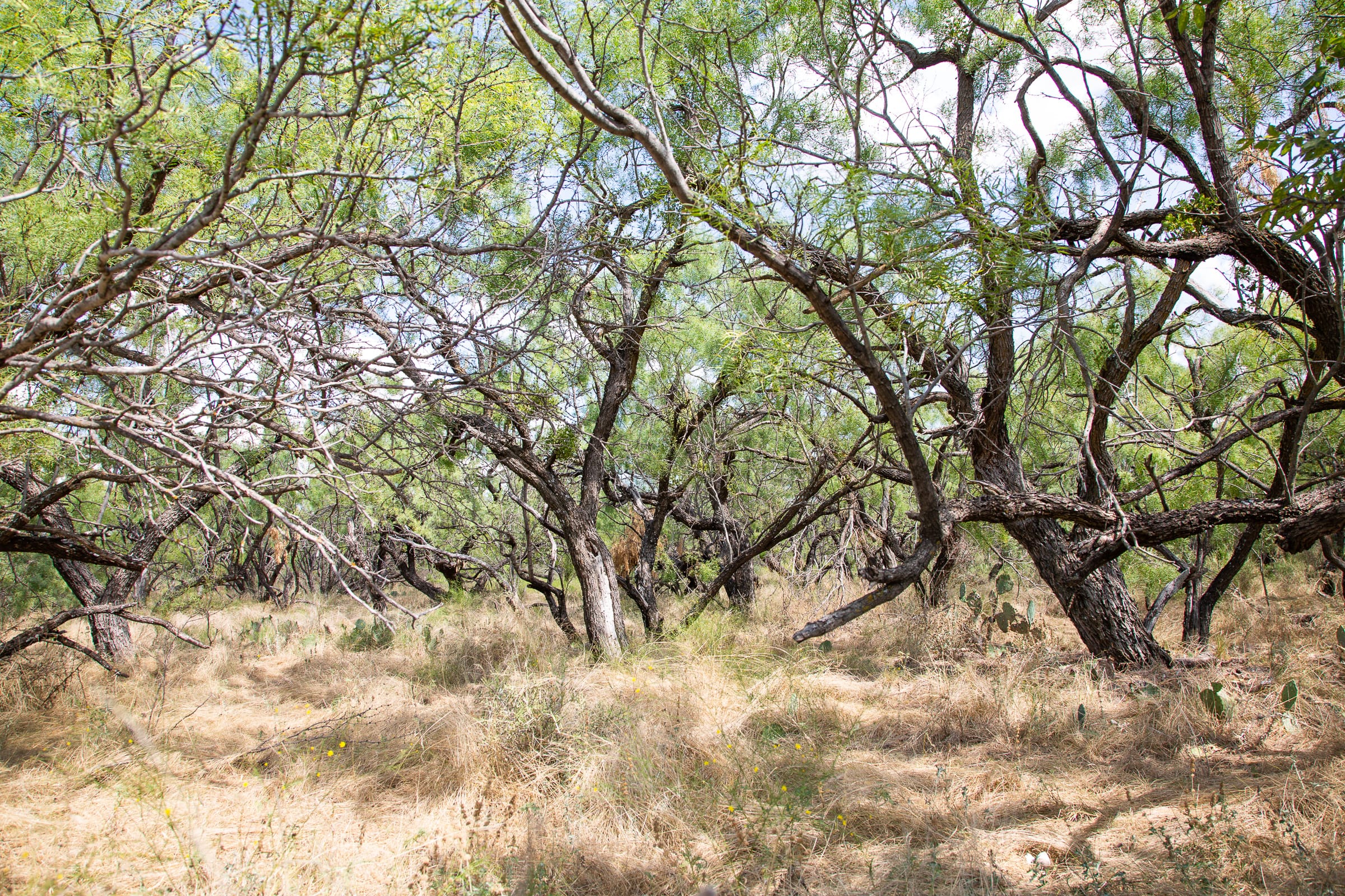 Hunter’s Ranch Tract 20 photo 7