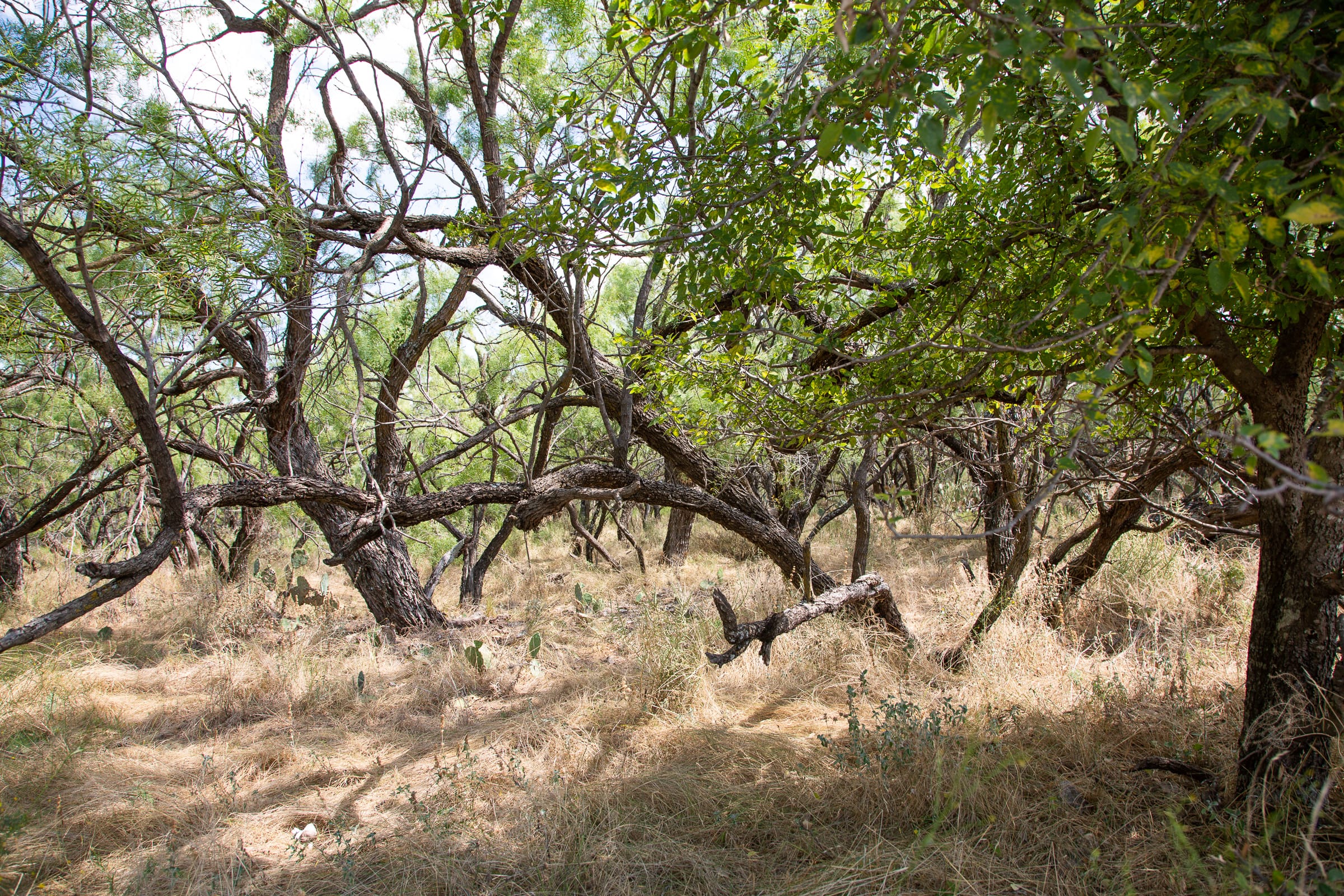 Hunter’s Ranch Tract 20 photo 8