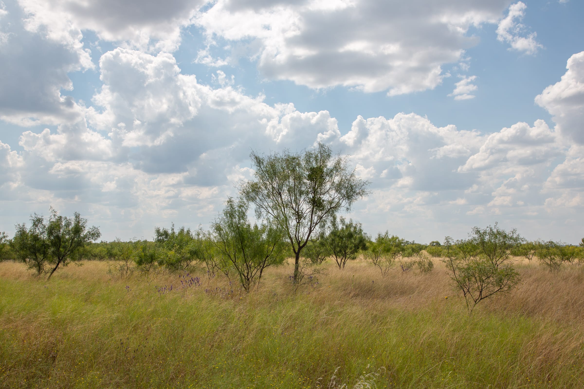 Hunter’s Ranch Tract 20 photo 9