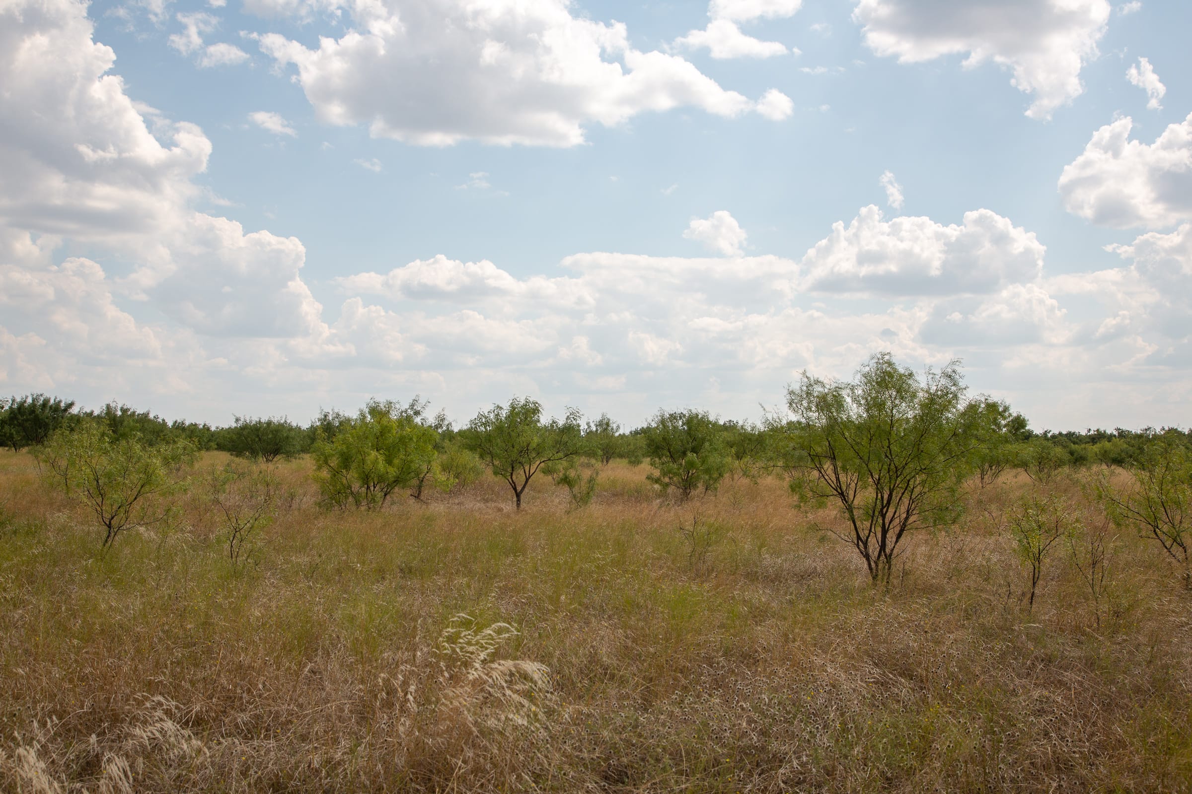 Hunter’s Ranch Tract 20 photo 11