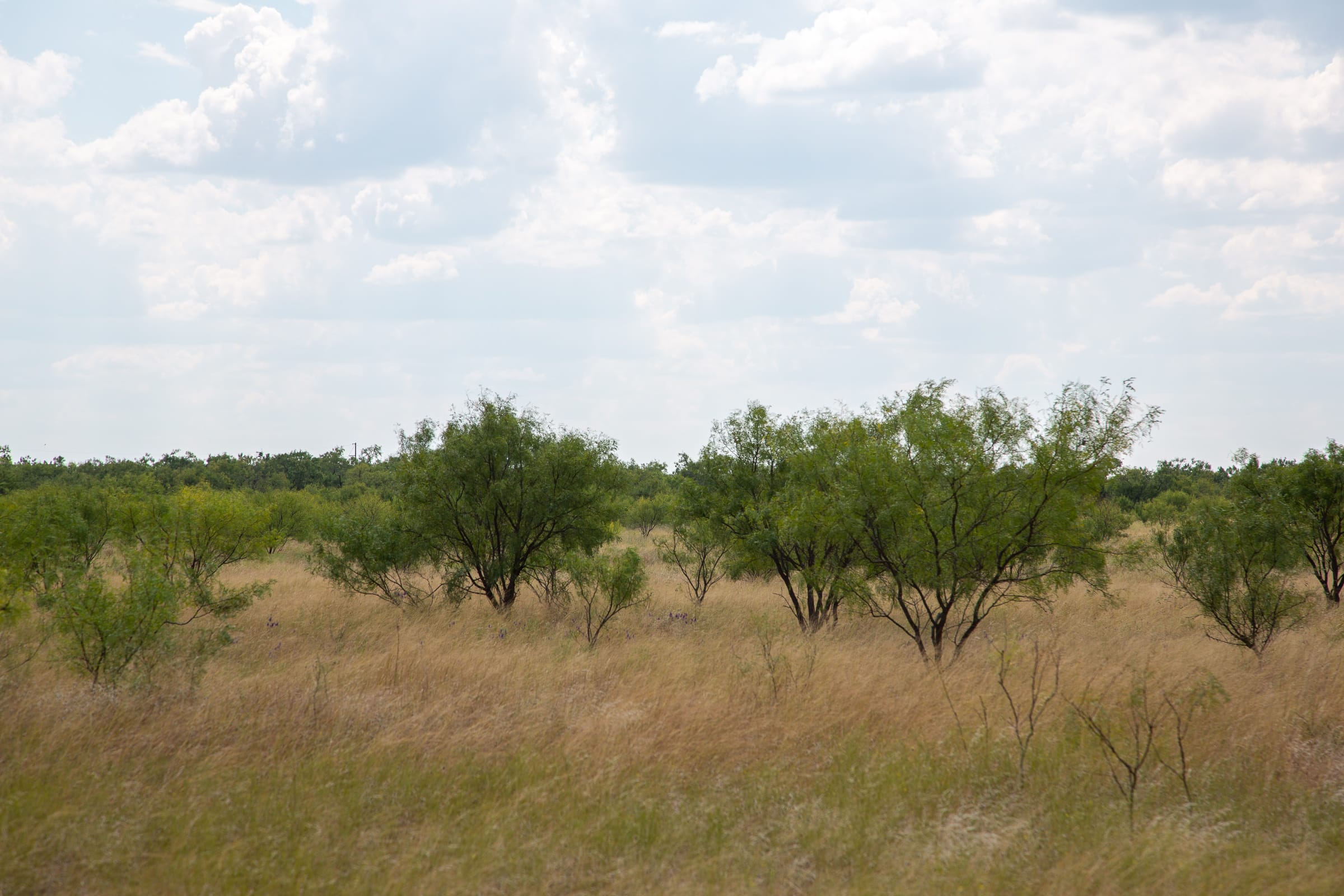 Hunter’s Ranch Tract 20 photo 12