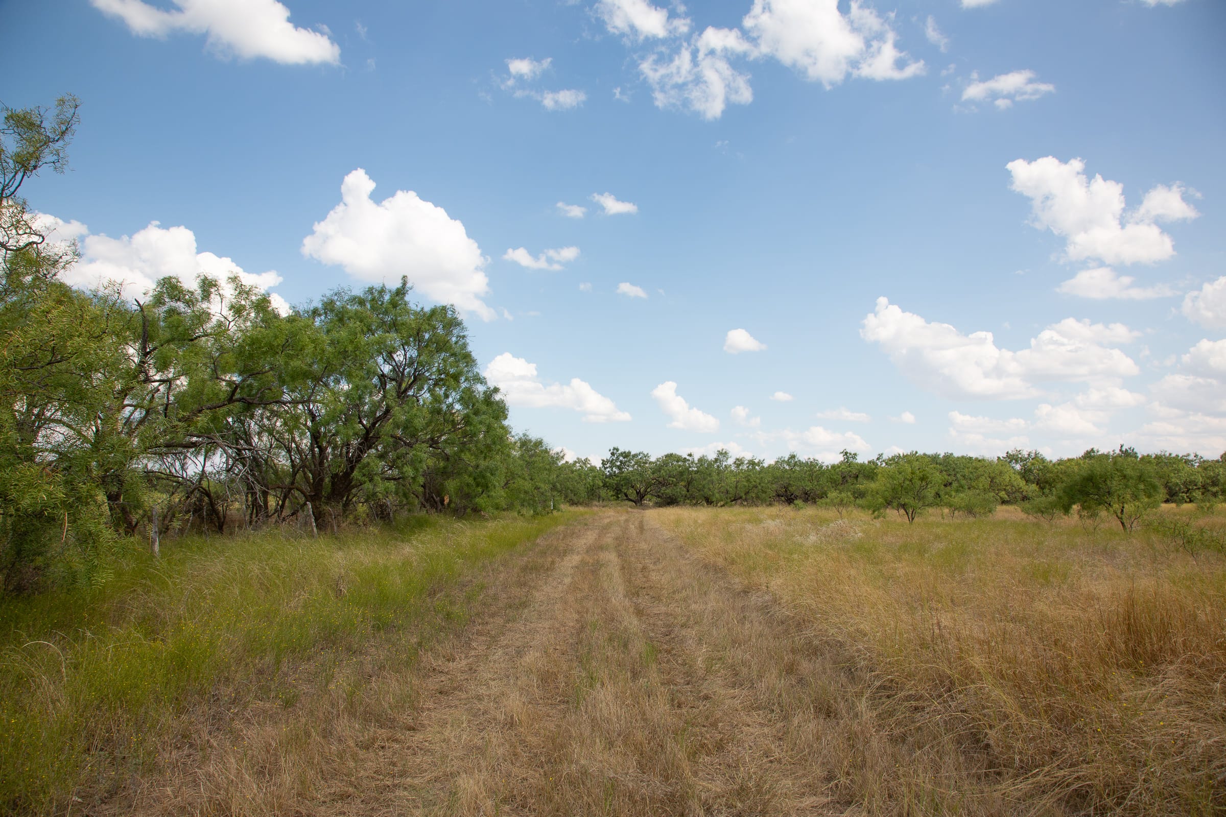 Hunter’s Ranch Tract 20 photo 13