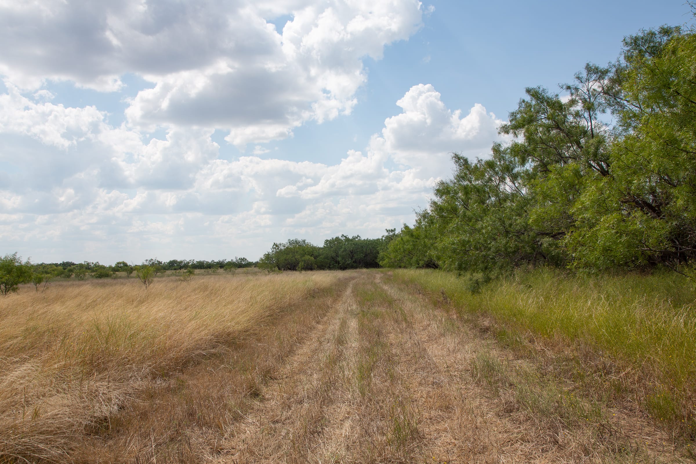 Hunter’s Ranch Tract 20 photo 14