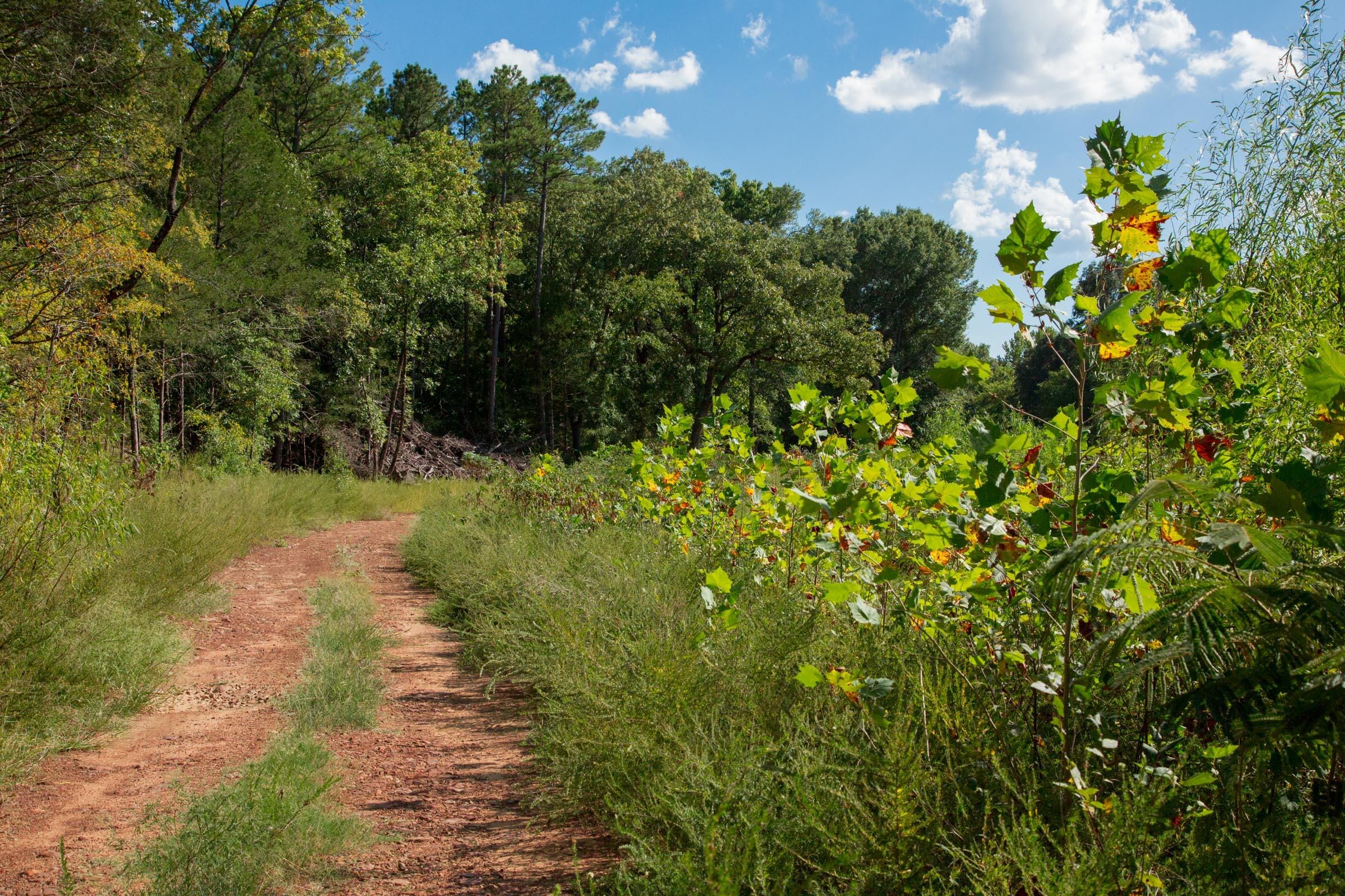 Stone Creek Phase II Tract 263 photo 2