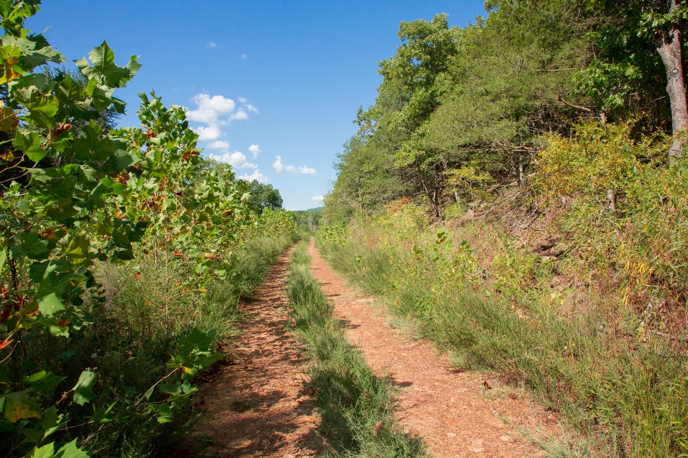 Stone Creek Phase II Tract 263 photo 4