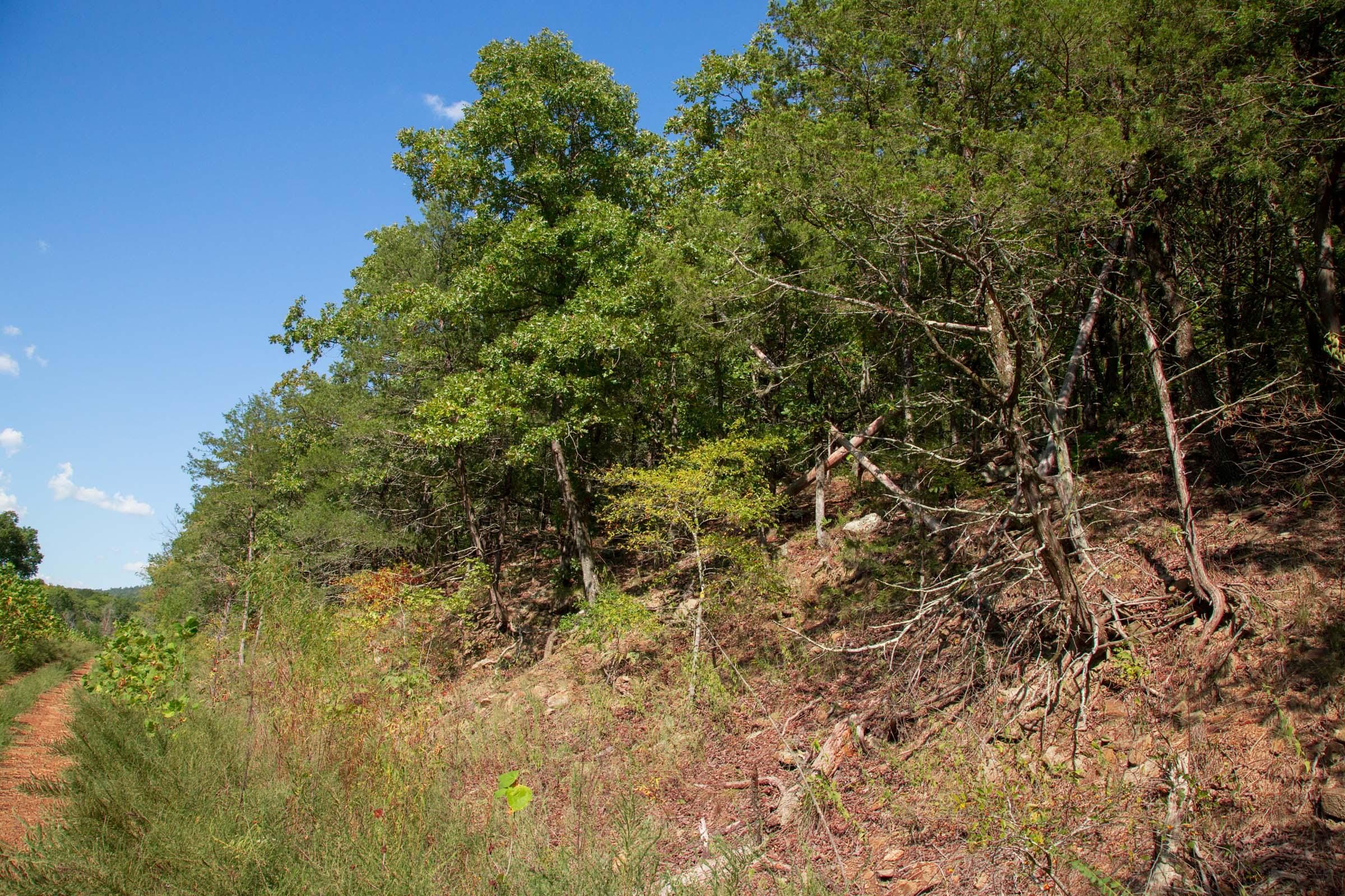 Stone Creek Phase II Tract 263 photo 6
