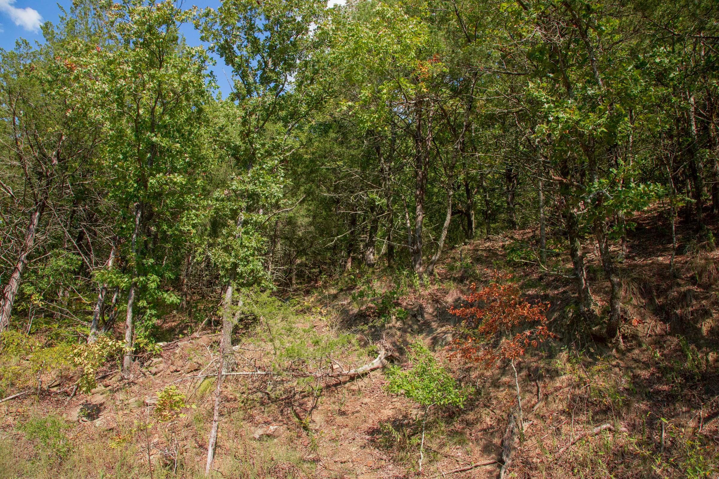 Stone Creek Phase II Tract 263 photo 7