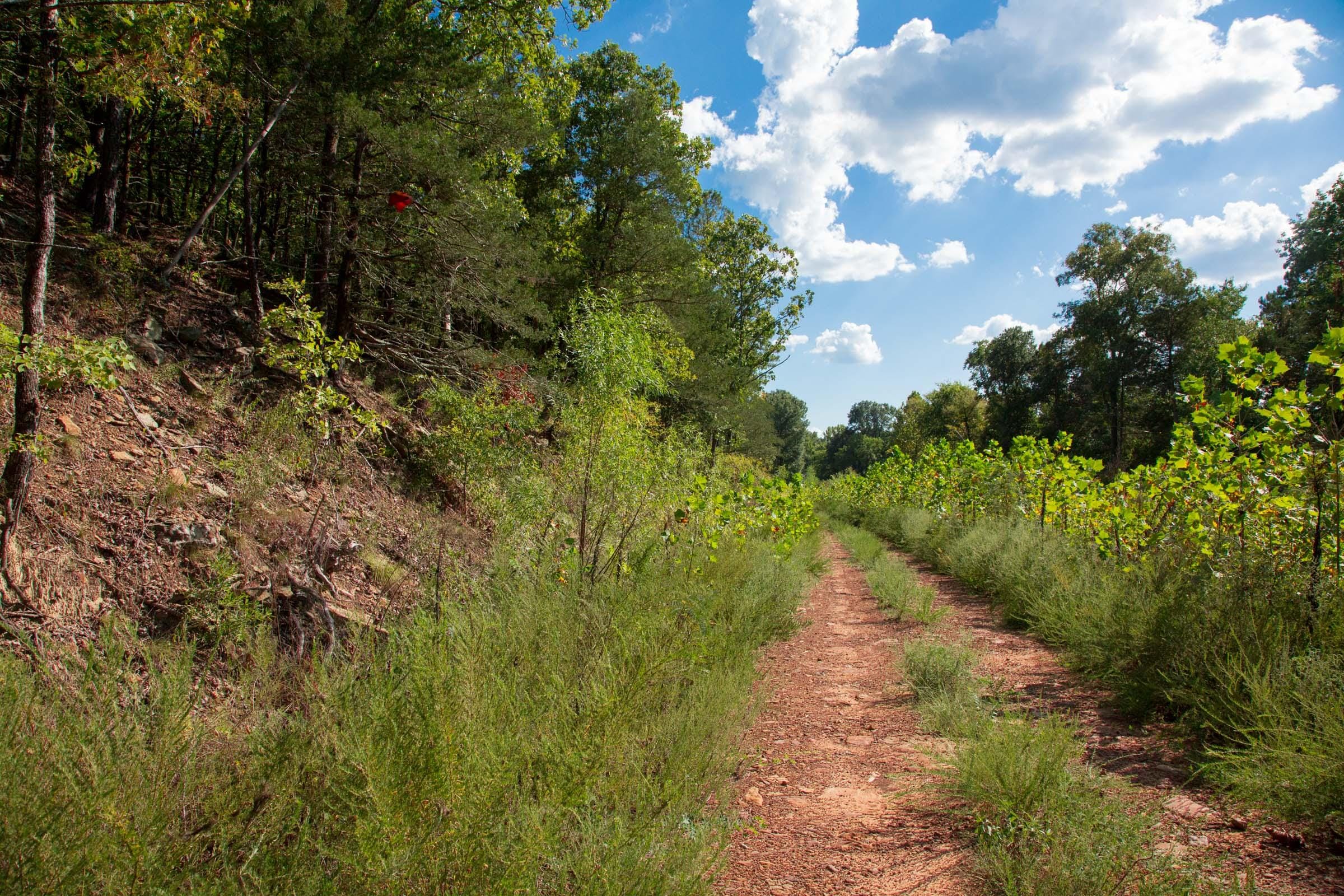 Stone Creek Phase II Tract 263 photo 8