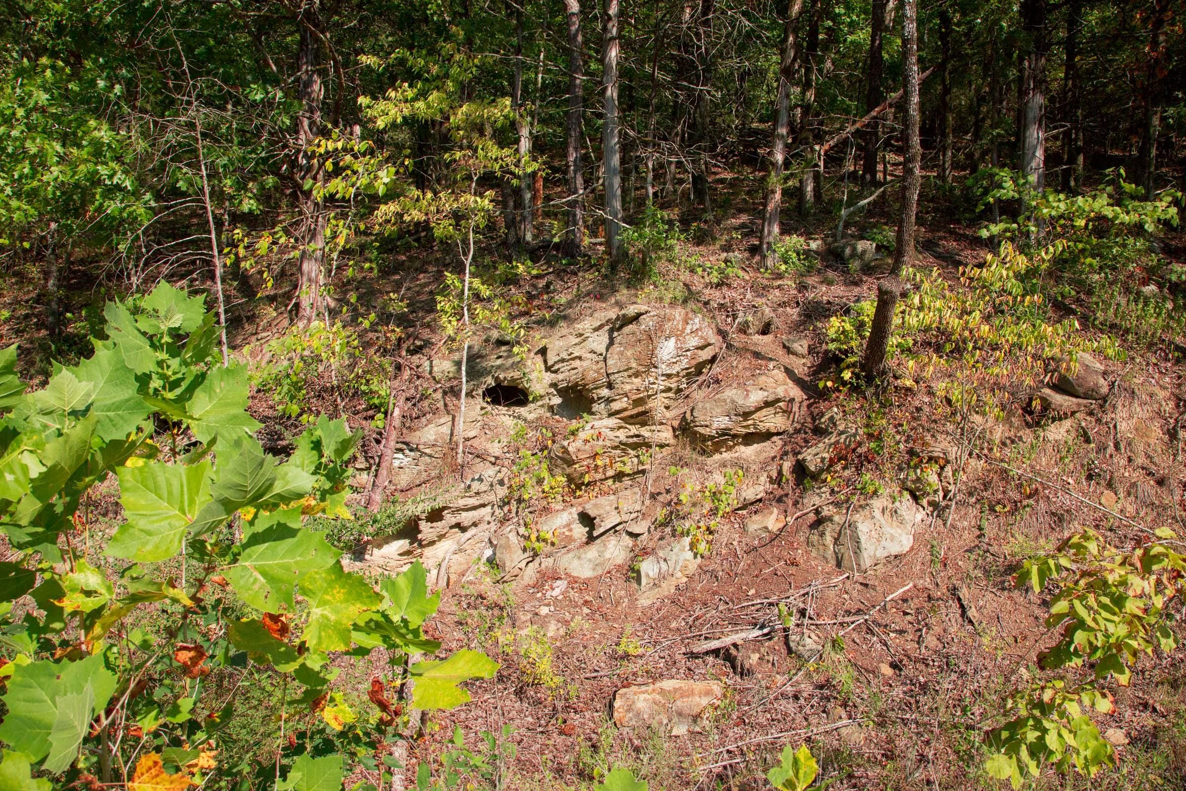 Stone Creek Phase II Tract 263 photo 10