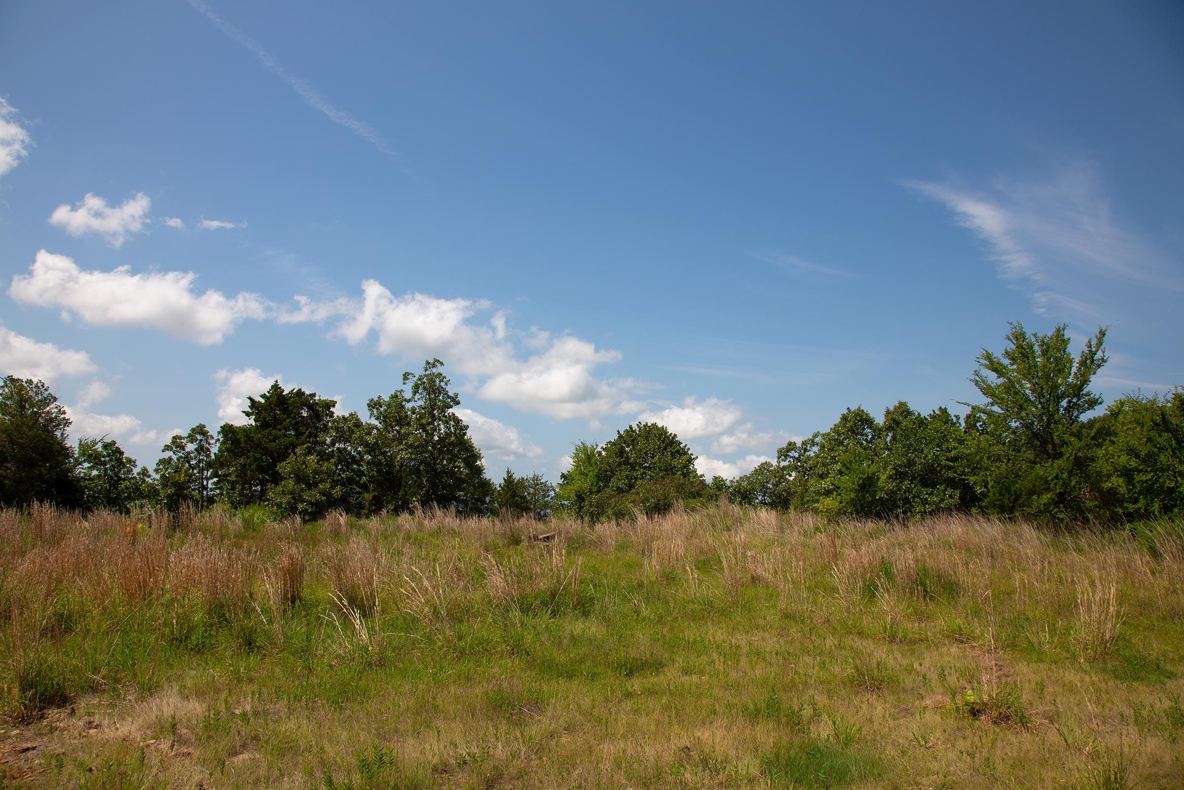Tyler Stone Ranch Tract 81 photo 2