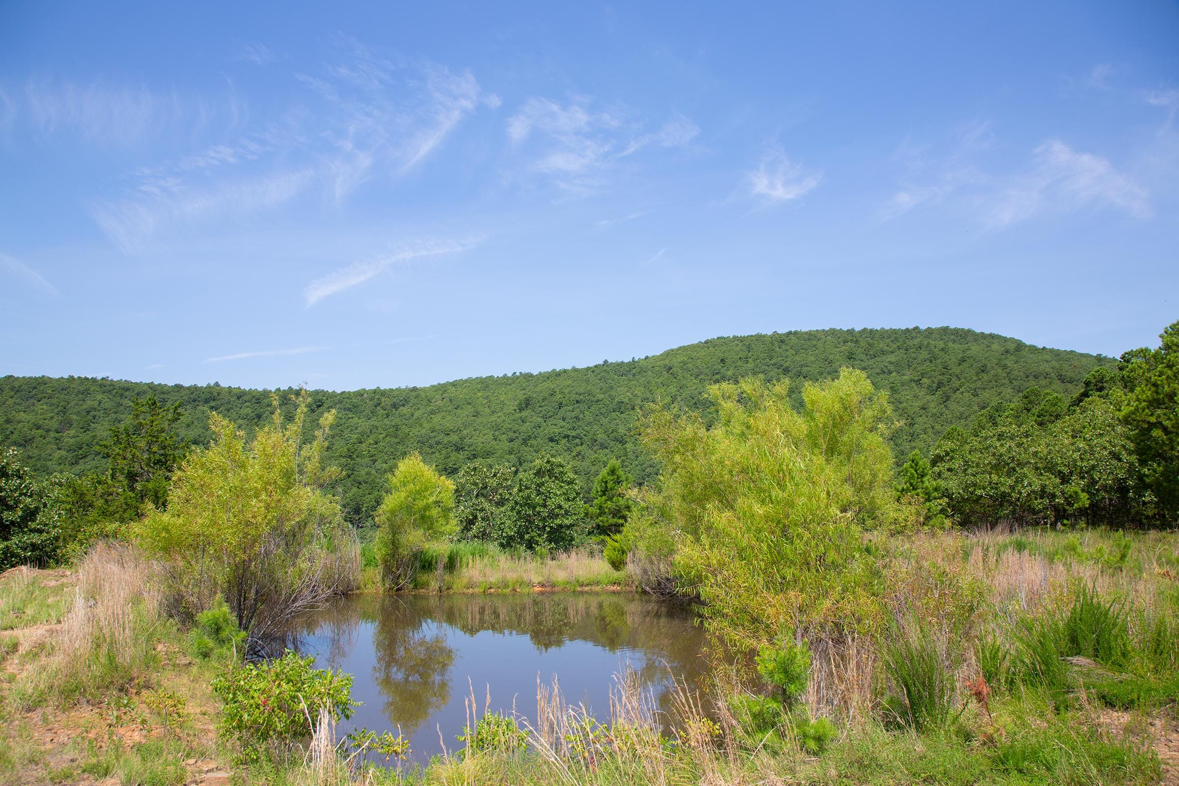 Tyler Stone Ranch Tract 81 photo 4