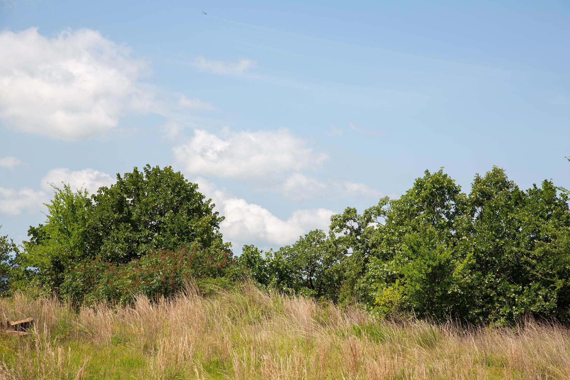 Tyler Stone Ranch Tract 81 photo 5