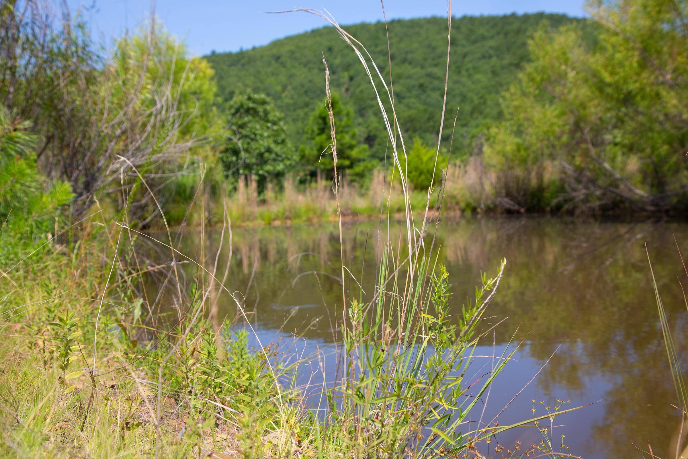 Tyler Stone Ranch Tract 81 photo 8