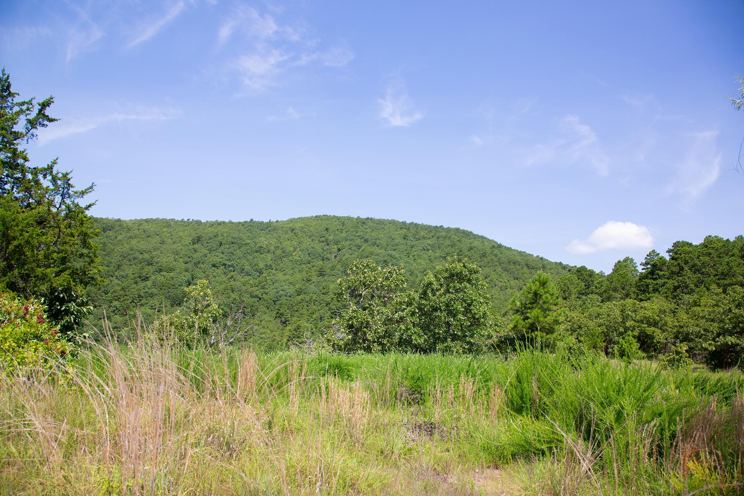 Tyler Stone Ranch Tract 81 photo 10