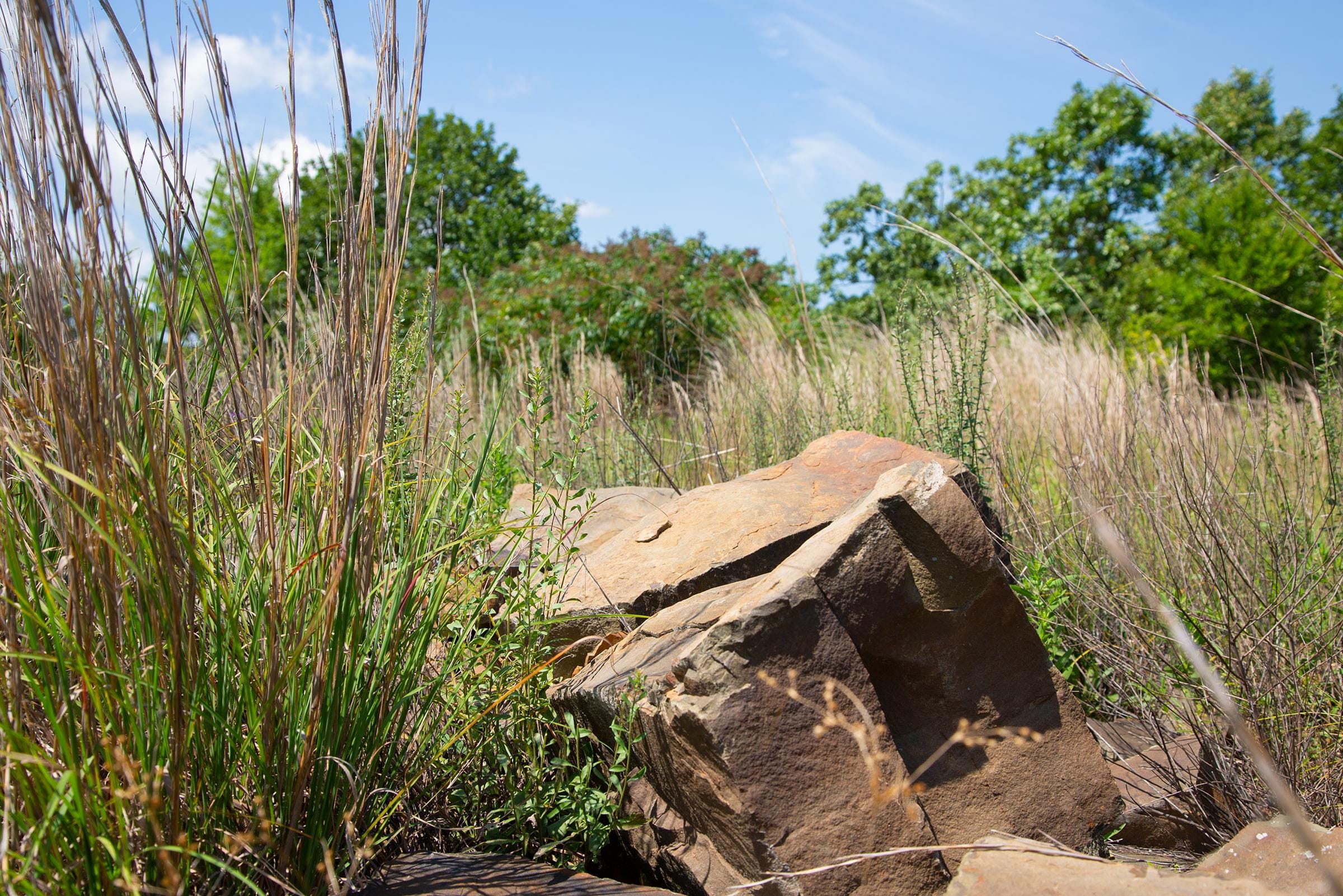 Tyler Stone Ranch Tract 81 photo 12
