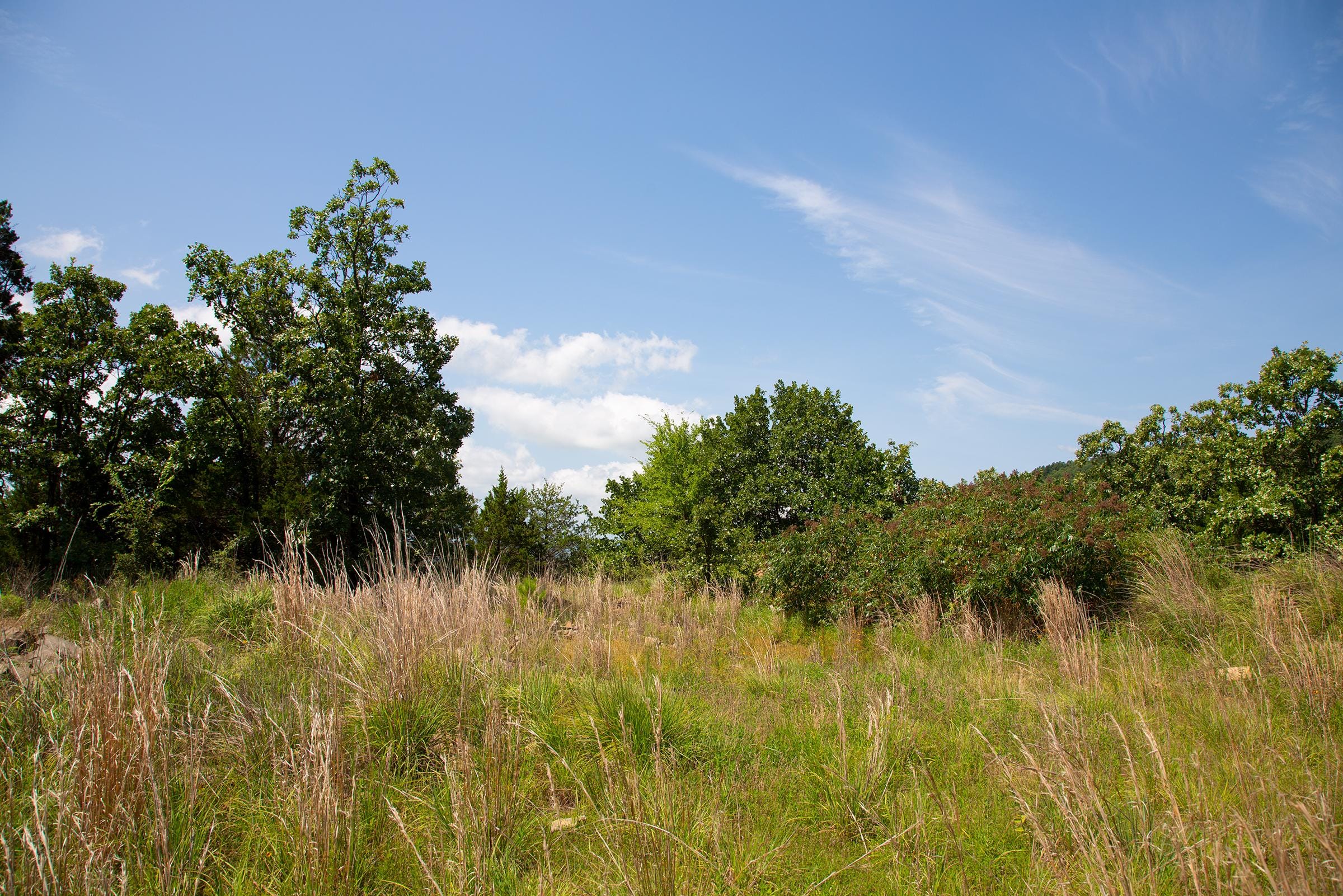 Tyler Stone Ranch Tract 81 photo 13